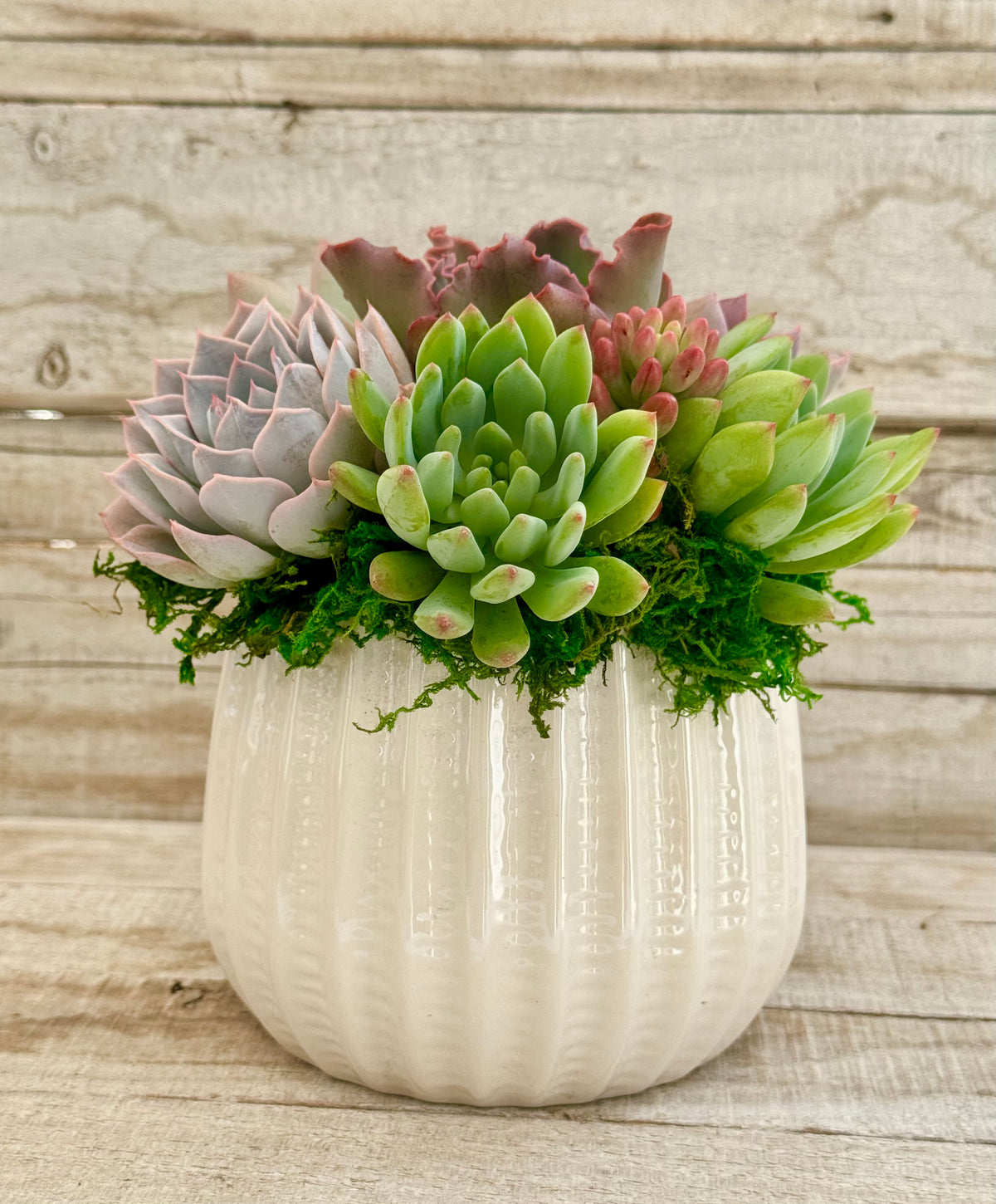 Jacklyn Planter