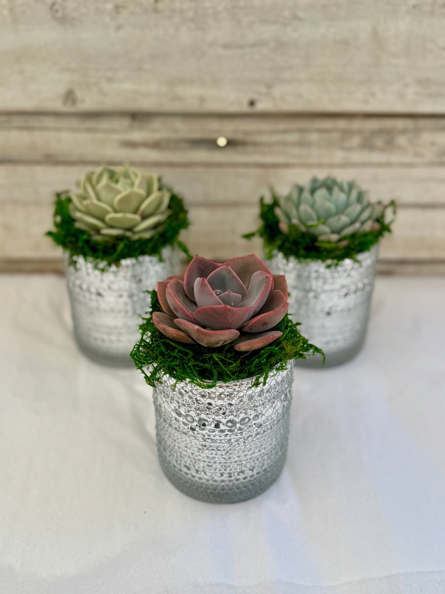 4-Inch Metallic Silver Favors