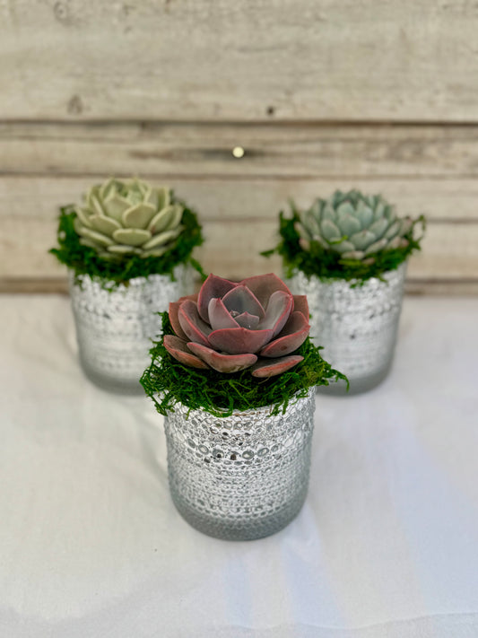 4-Inch Metallic Silver Favors