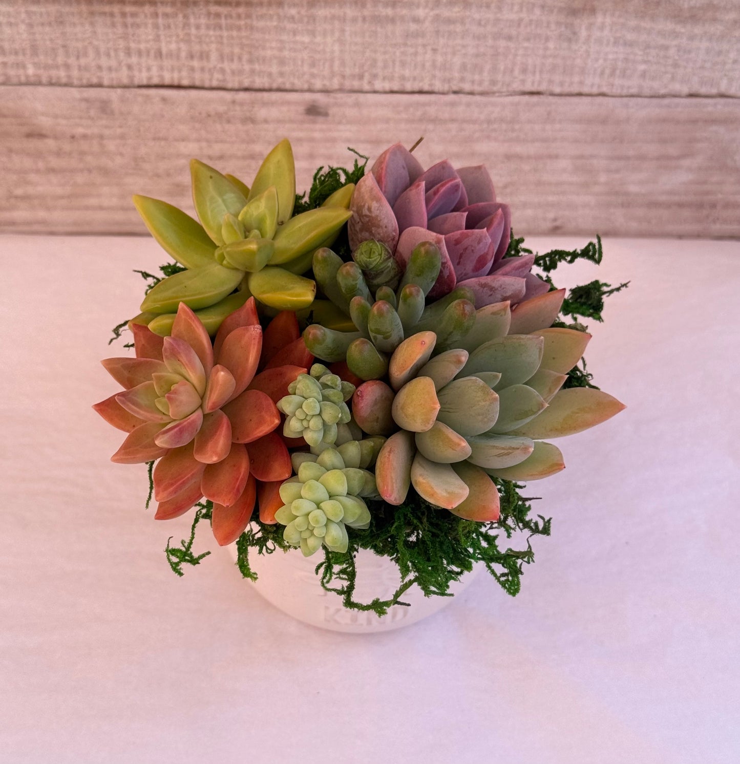 Bee Kind Planter
