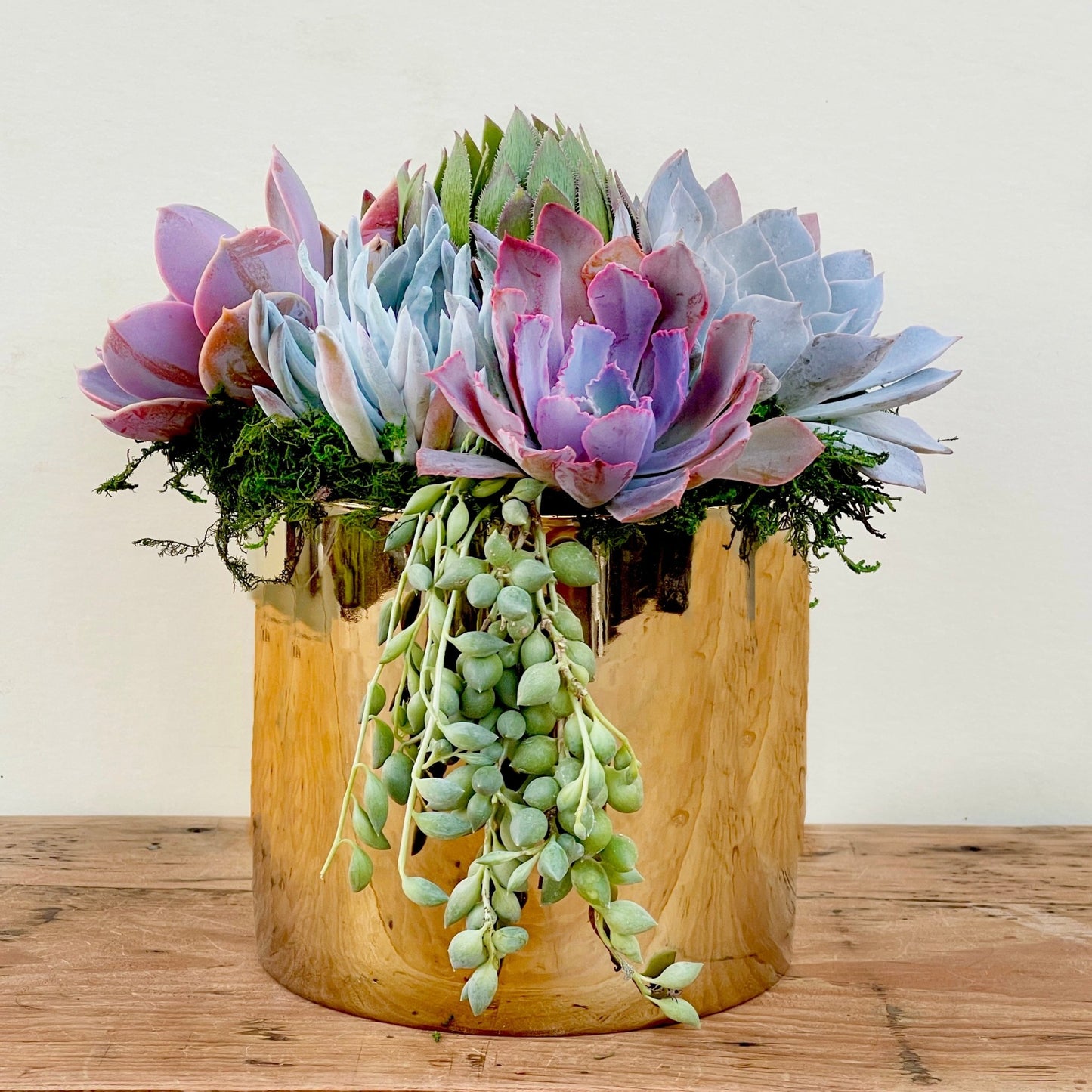 glazed ceramic pots for succulents Golden glazed ceramic pot with Succulents