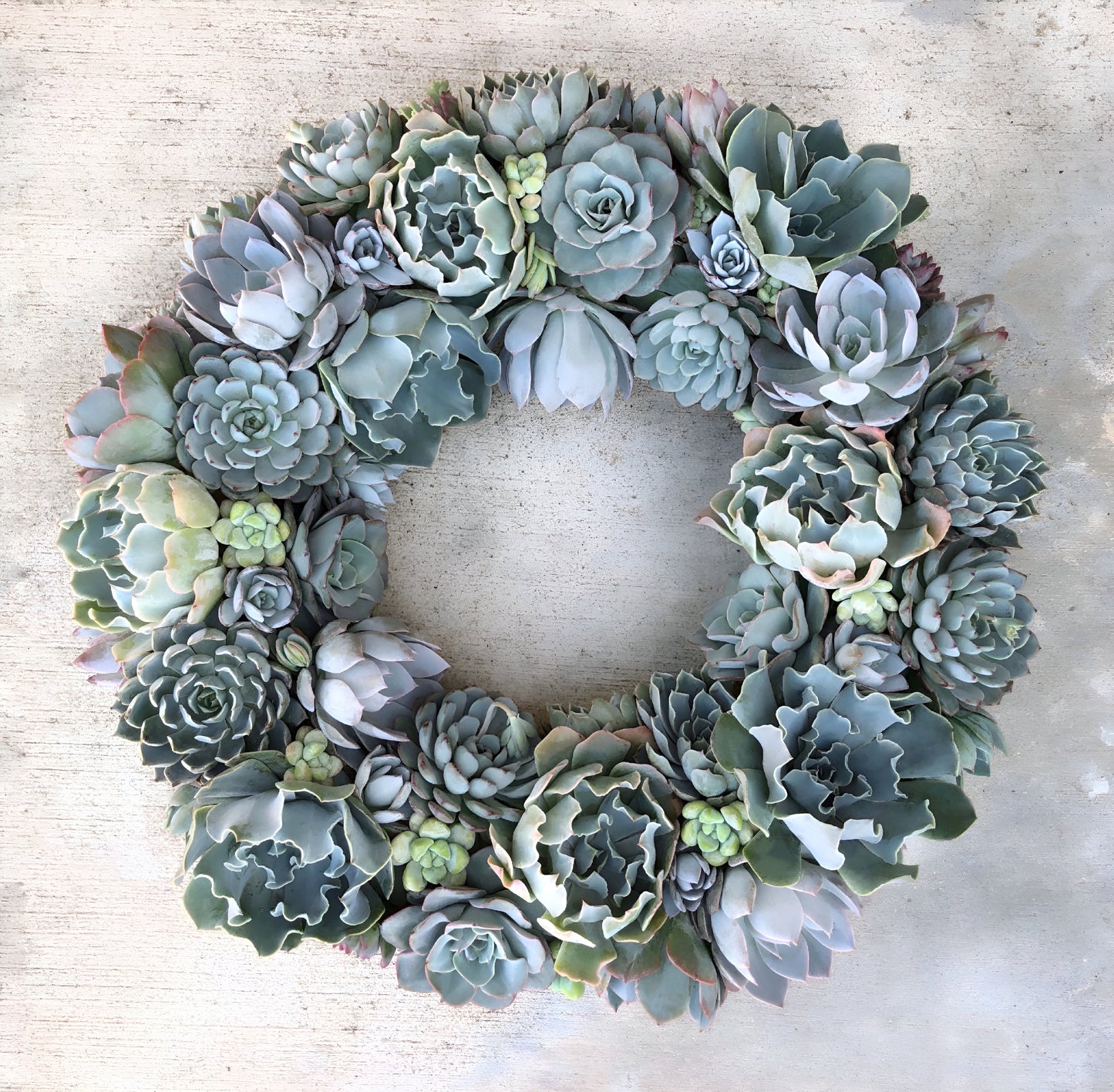 Beach Cottage Wreath in Shades of Blue Succulent Wreath