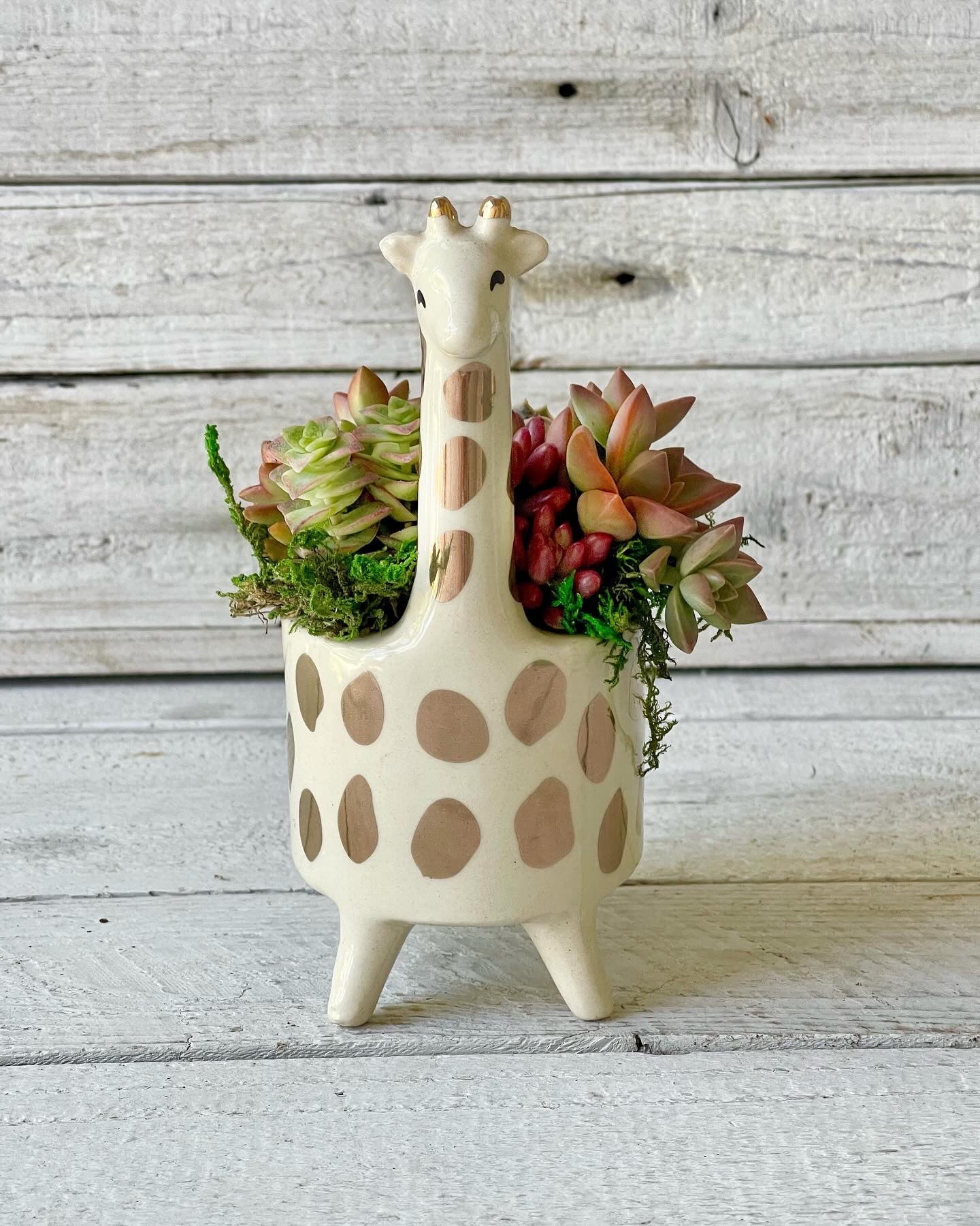 Whimsical Giraffe Planted with Living Succulents