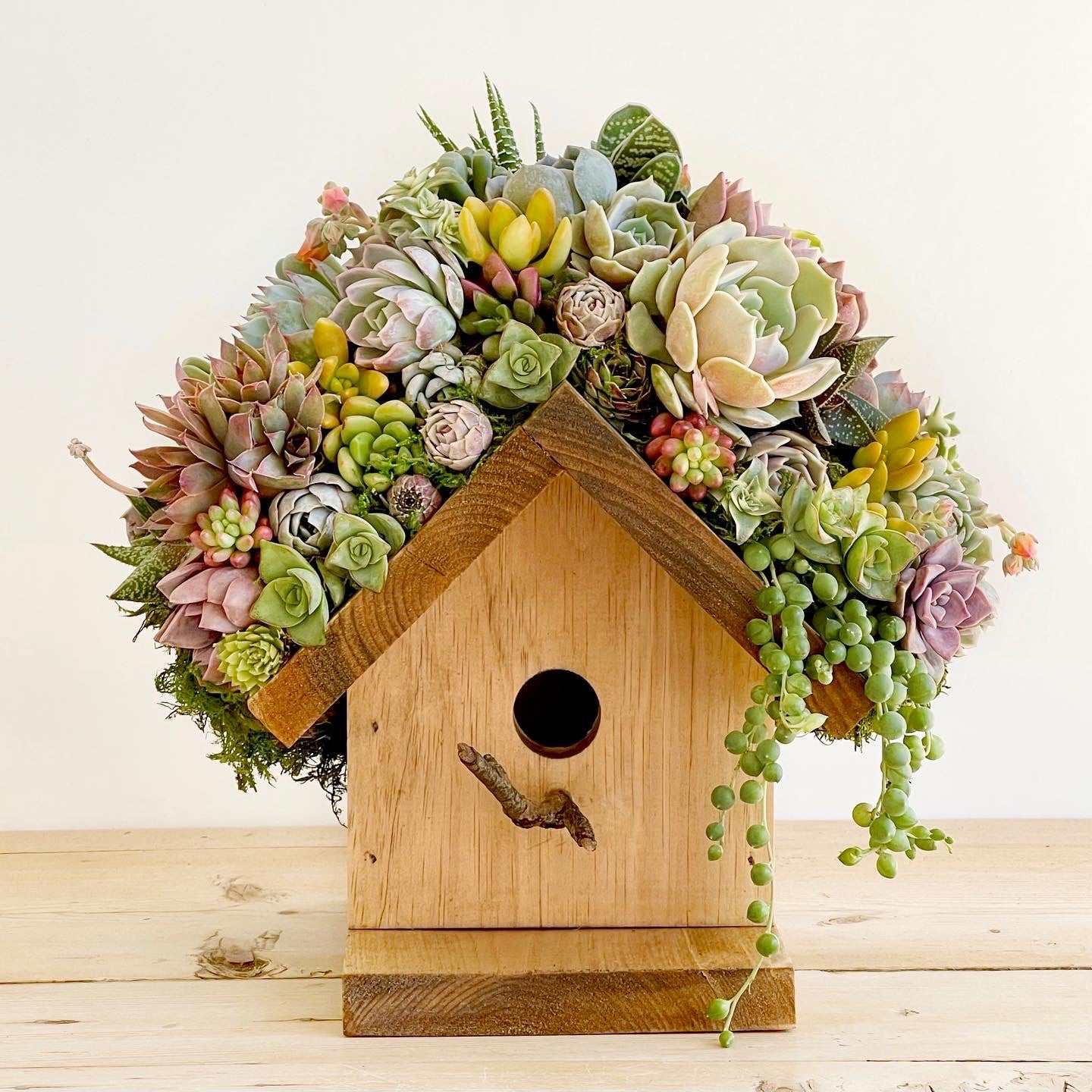 Birdhouse Arrangement