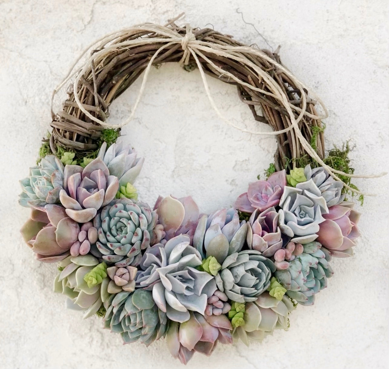 Living Succulent Air Plant Indoor/outdoor Grapevine Wreath 14 Inch 