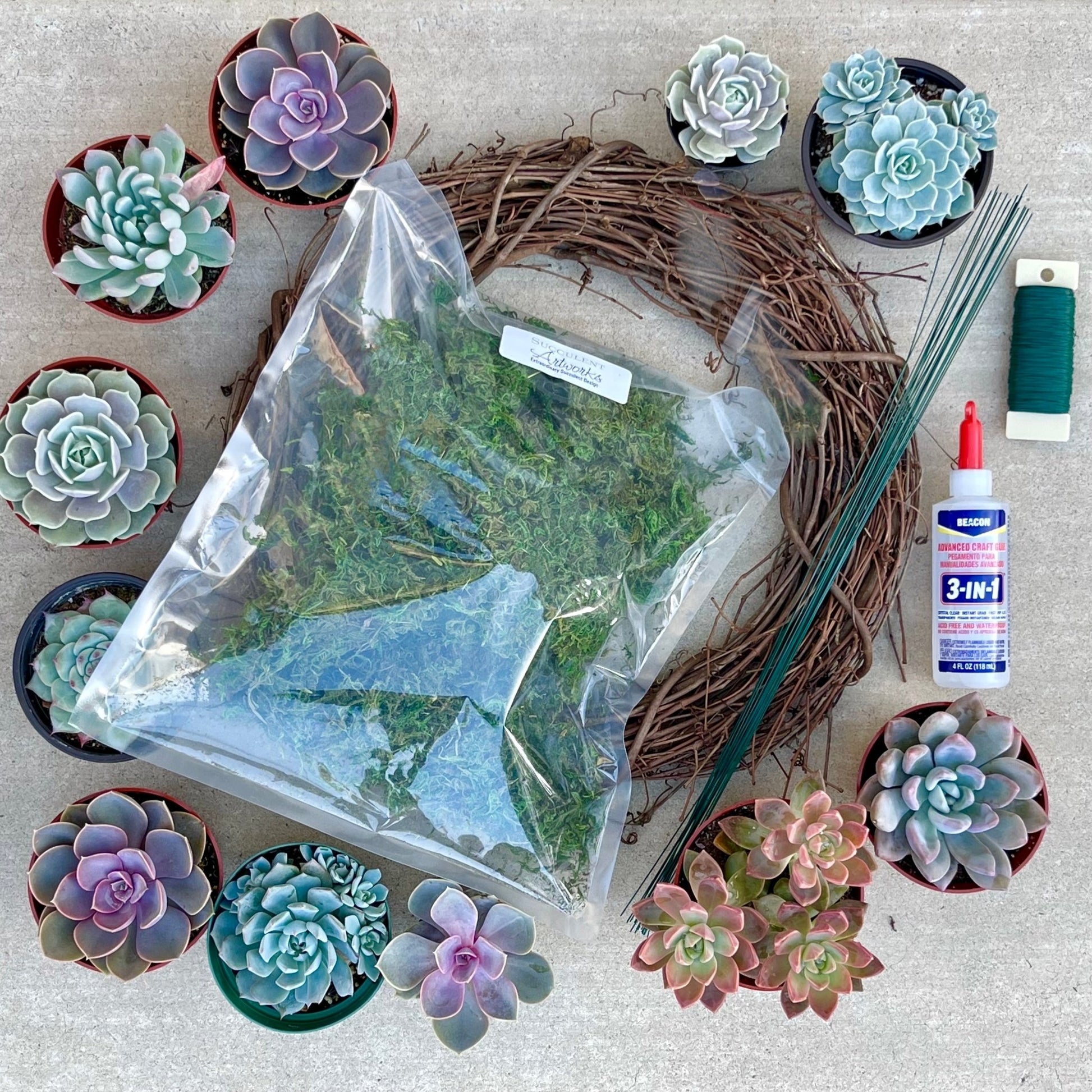 living succulent wreath diy Succulent Wreath DIY Kit – Create Your Own Living Art