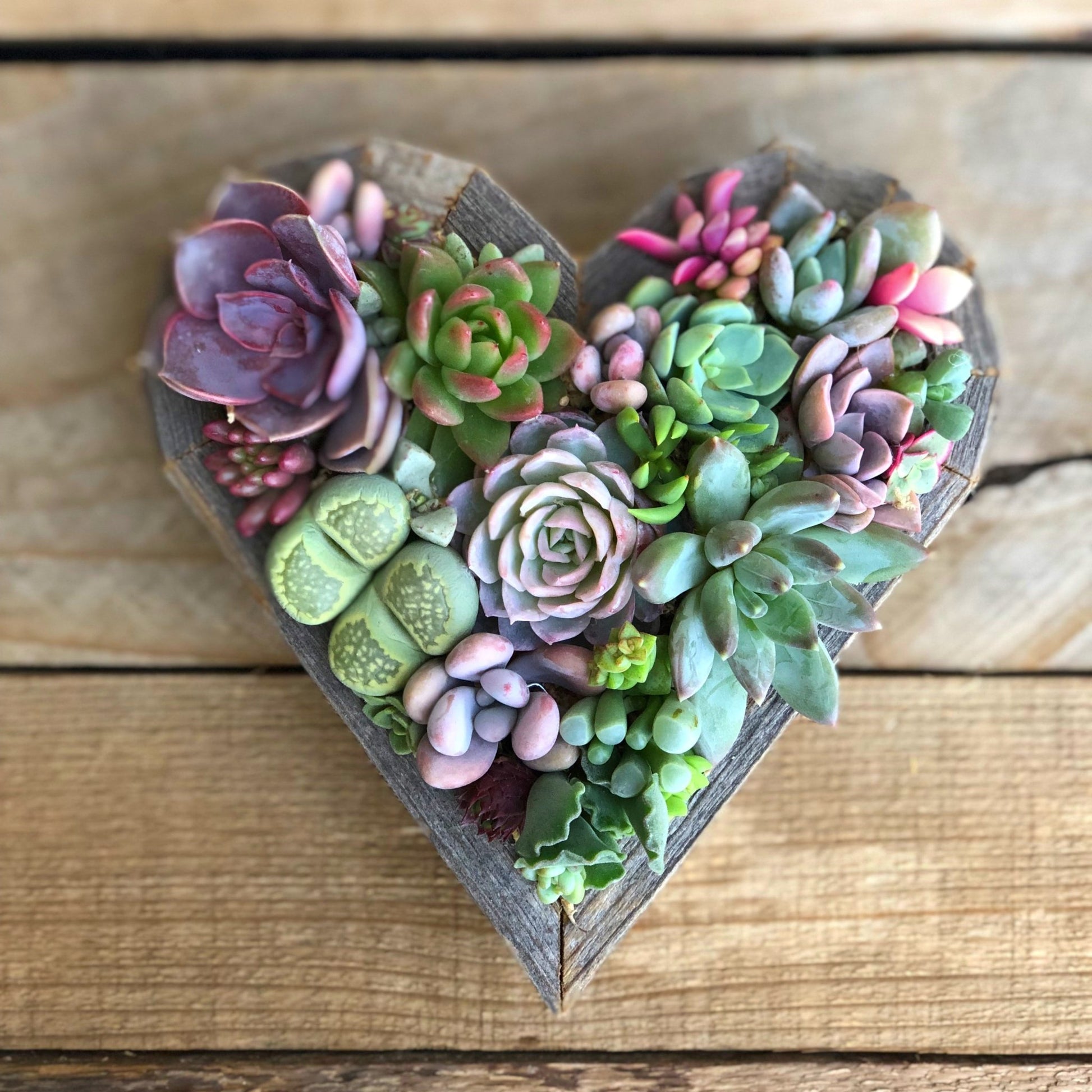 heart shaped succulent garden Succulent Heart-Shaped Vertical Garden