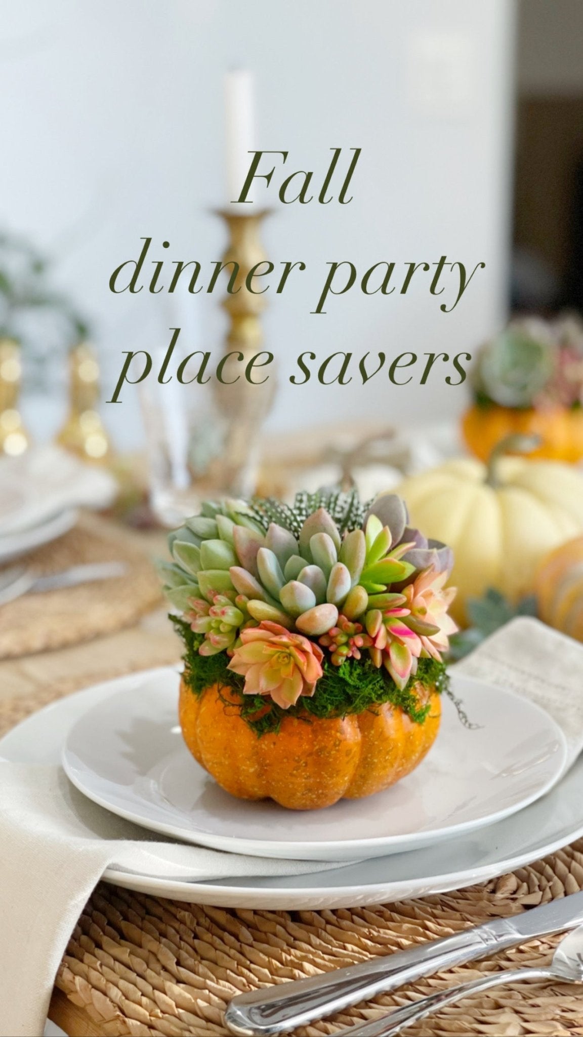 mini succulent pumpkins Mini Succulent Trimmed Pixie Pumpkin