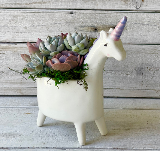 
A 5-inch glossy white ceramic unicorn planter with a hand-painted pastel rainbow horn and tiny blush accents. The planter stands on four dainty legs, with an arrangement of soft-hued succulents nestled inside, accented by lush green moss. Set against a rustic wooden backdrop for a whimsical, dreamy aesthetic.