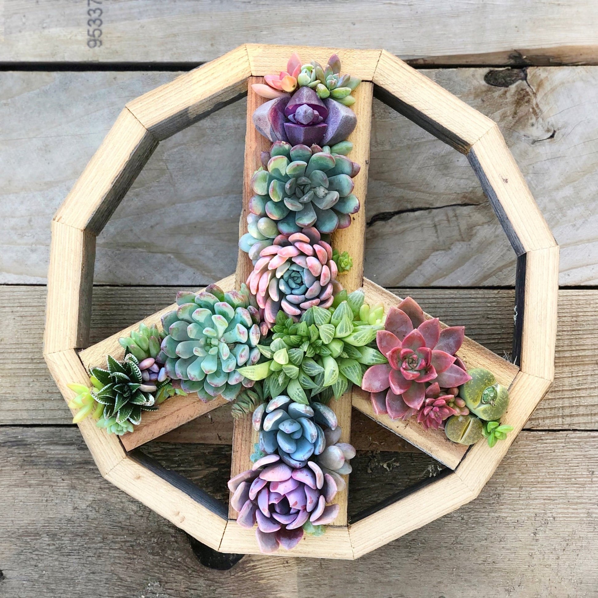 succulent garden sign Vertical Garden Peace Sign