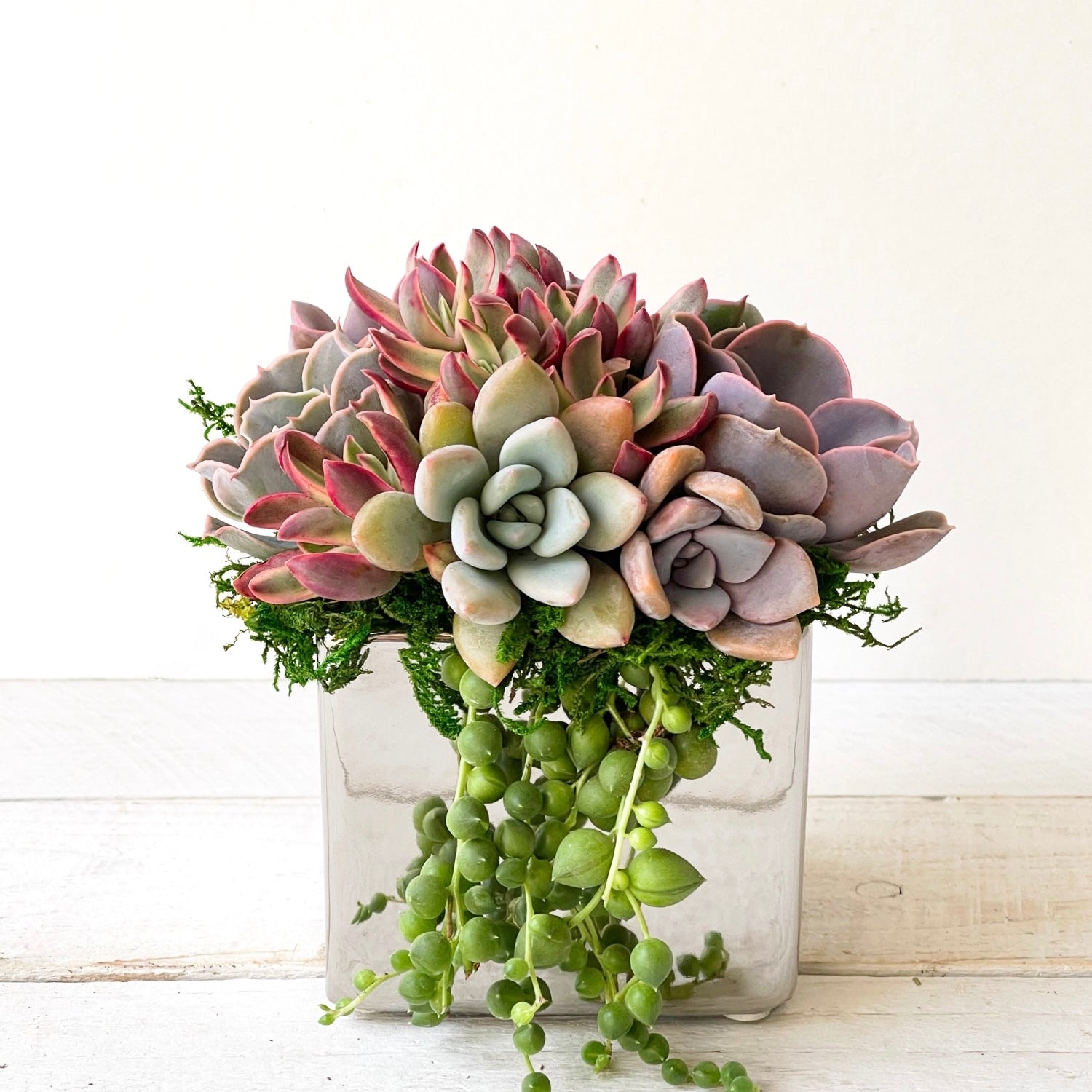 glazed succulent pots Succulent Arrangement