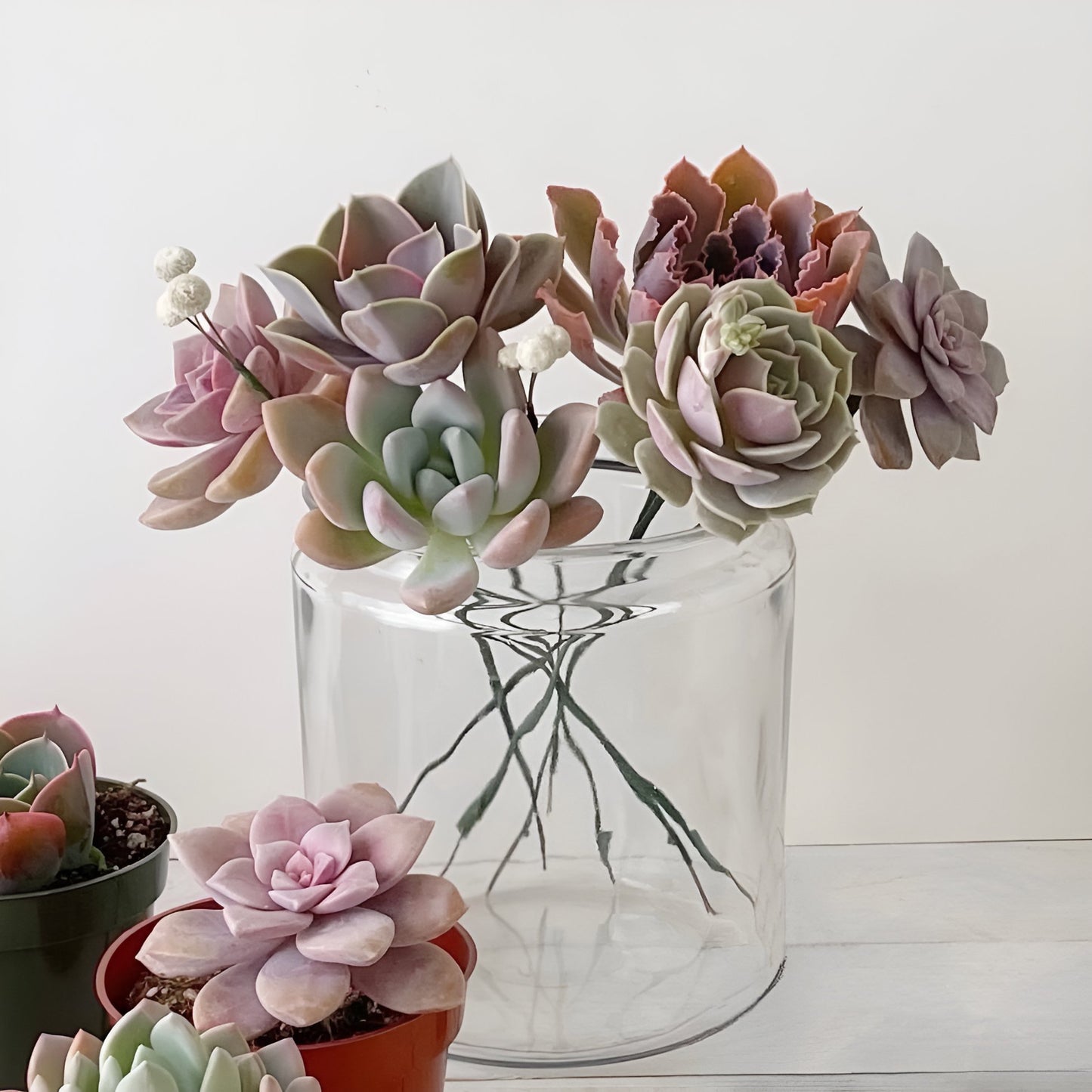 4” Succulents with Prepared Wire Stems for DIY Floral