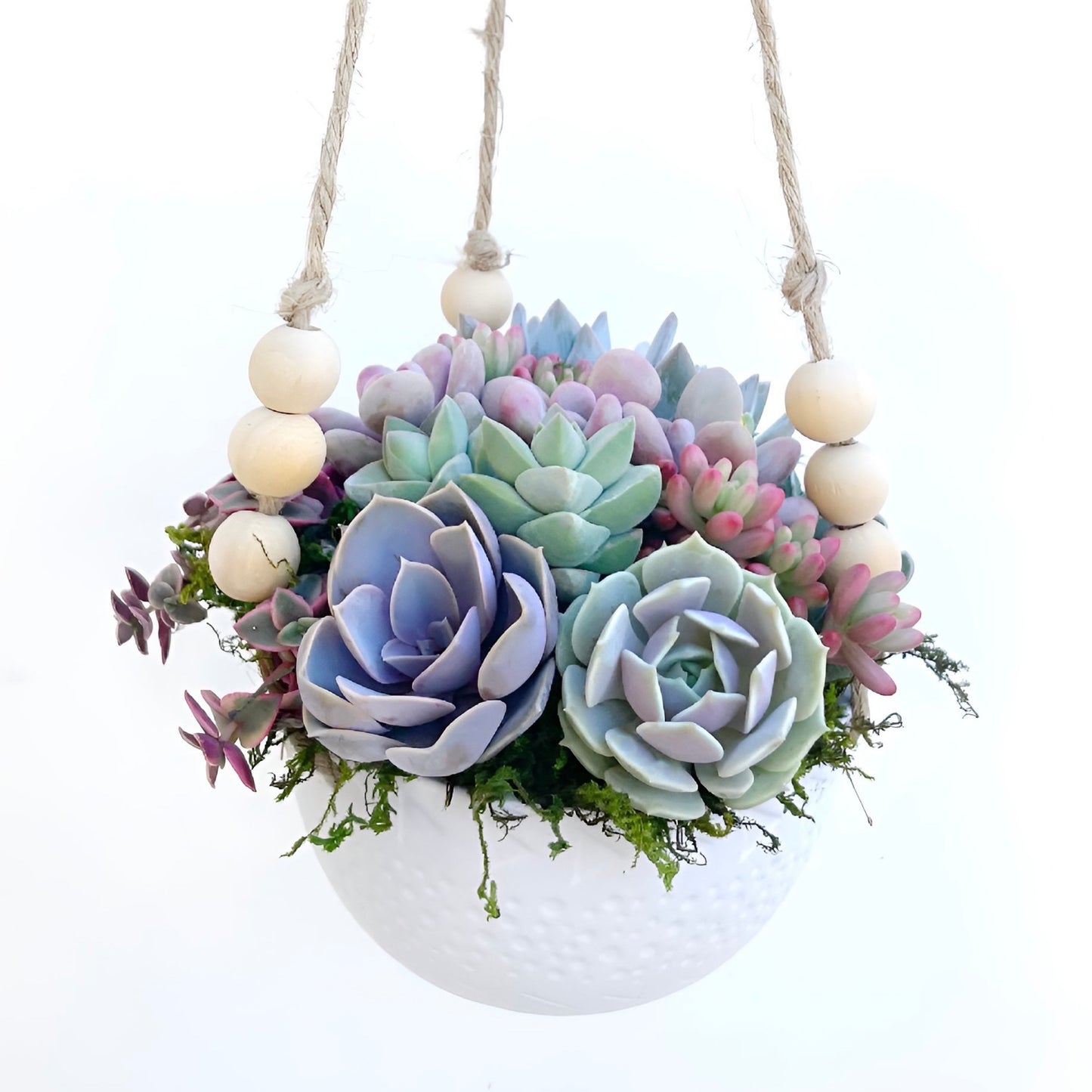 Lauren Hanging Planter Filled With Succulents