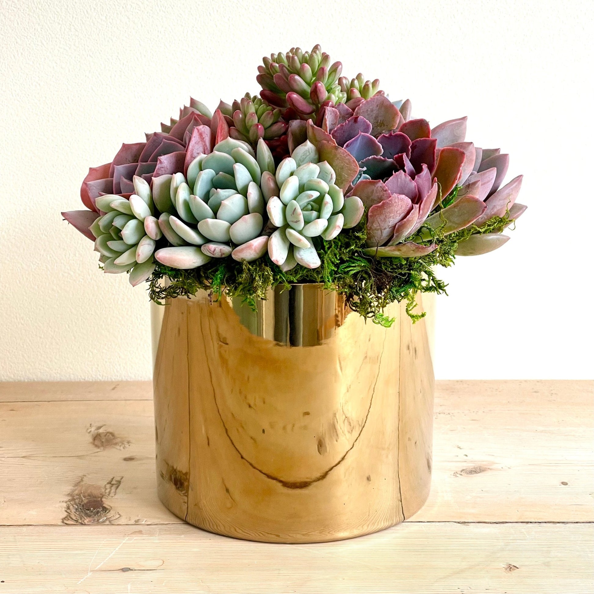 glazed succulent pots Golden glazed ceramic pot with Succulents