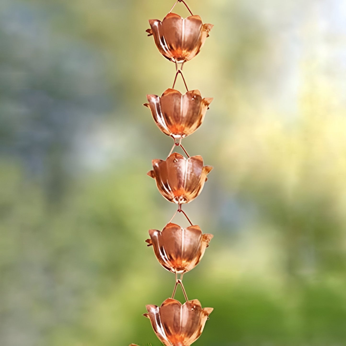 water chain succulent Unplanted Copper Rain Chain