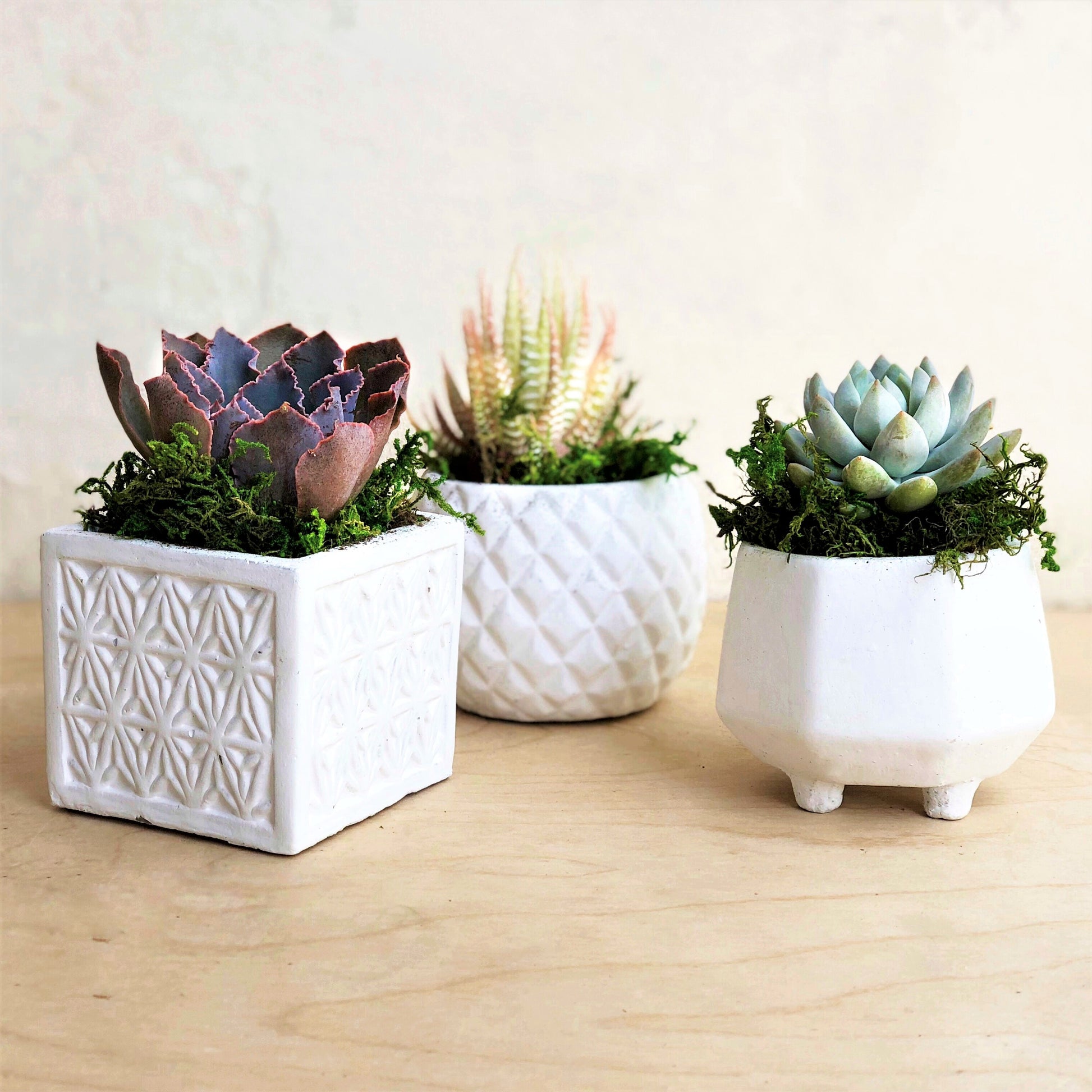 Tiffany Trio of Small White Geometric Pots.