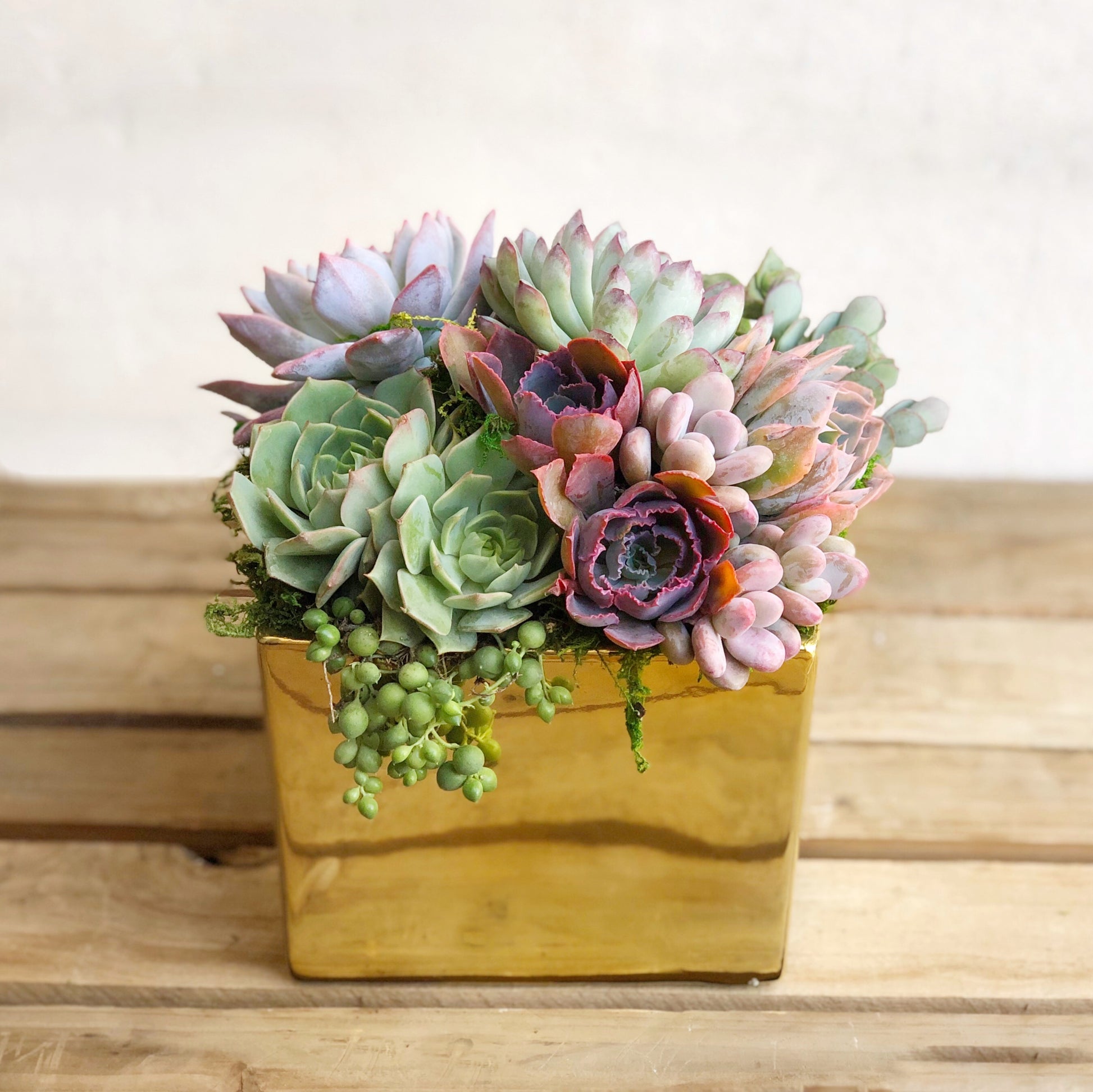 Elegant Metallic Glazed Ceramic Cube, Planted with Succulents.