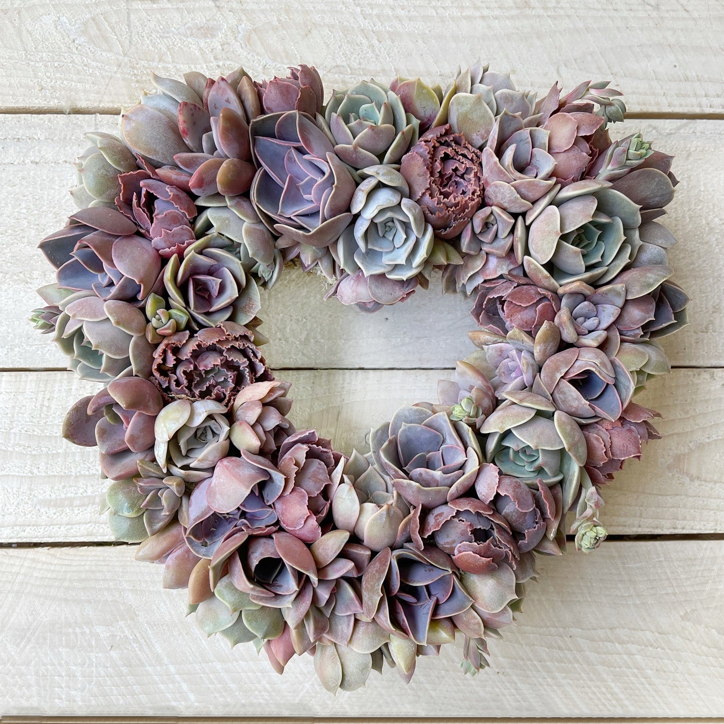 Angelique Heart-Shaped Succulent Wreath.