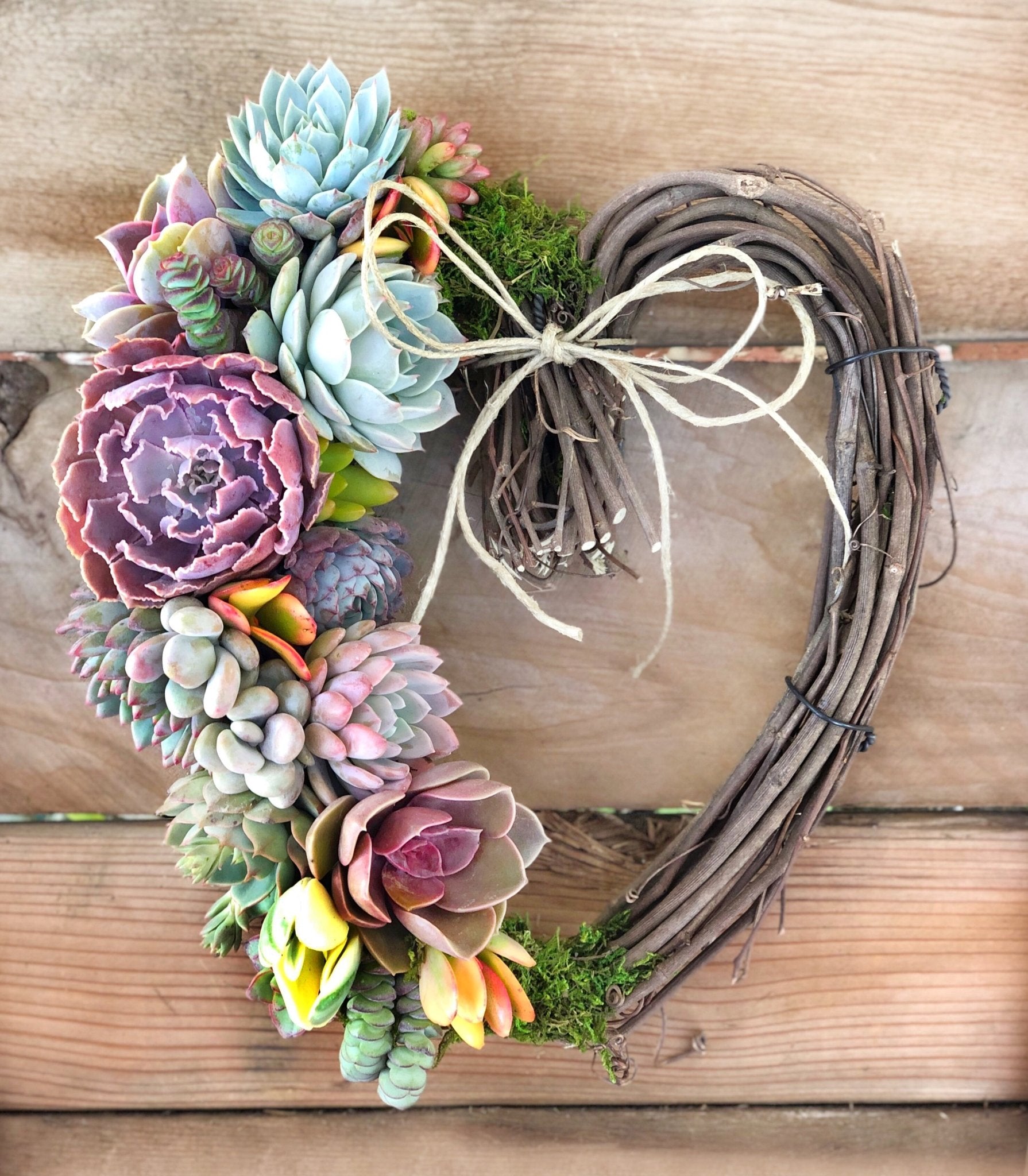 grapevine succulent wreath Succulent Arrangement