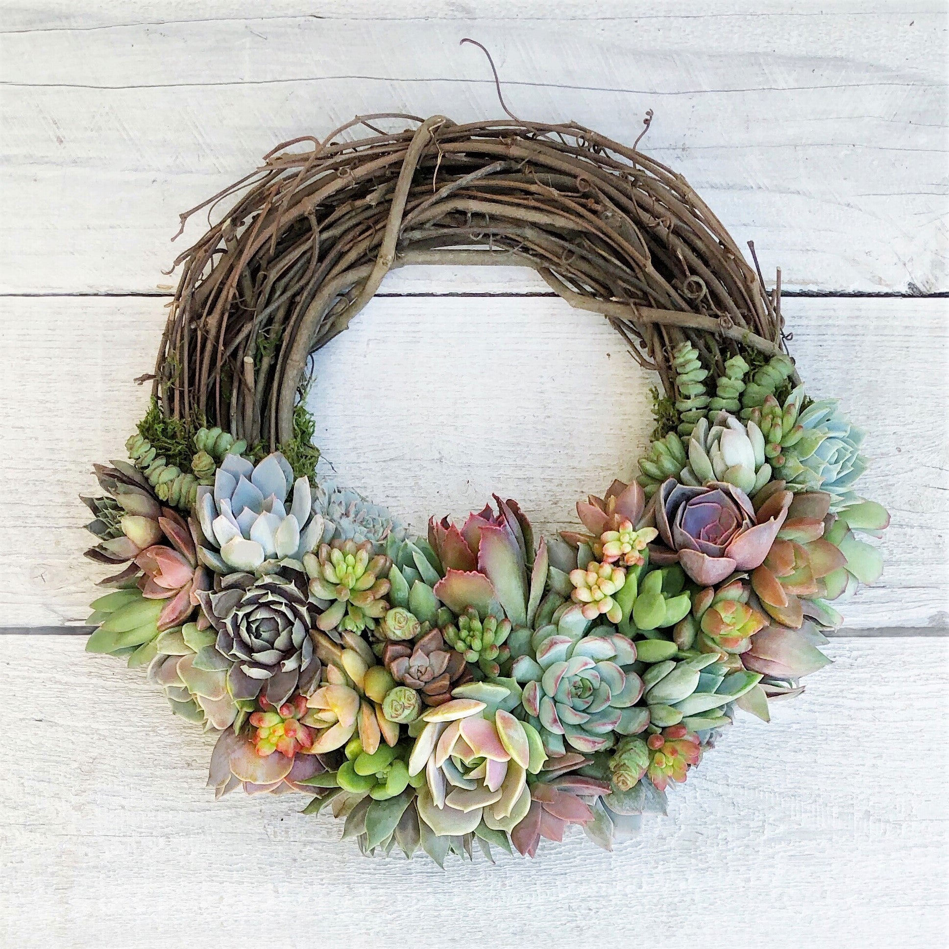 Emilee Grapevine Wreath Trimmed With Succulents – Succulent Artworks