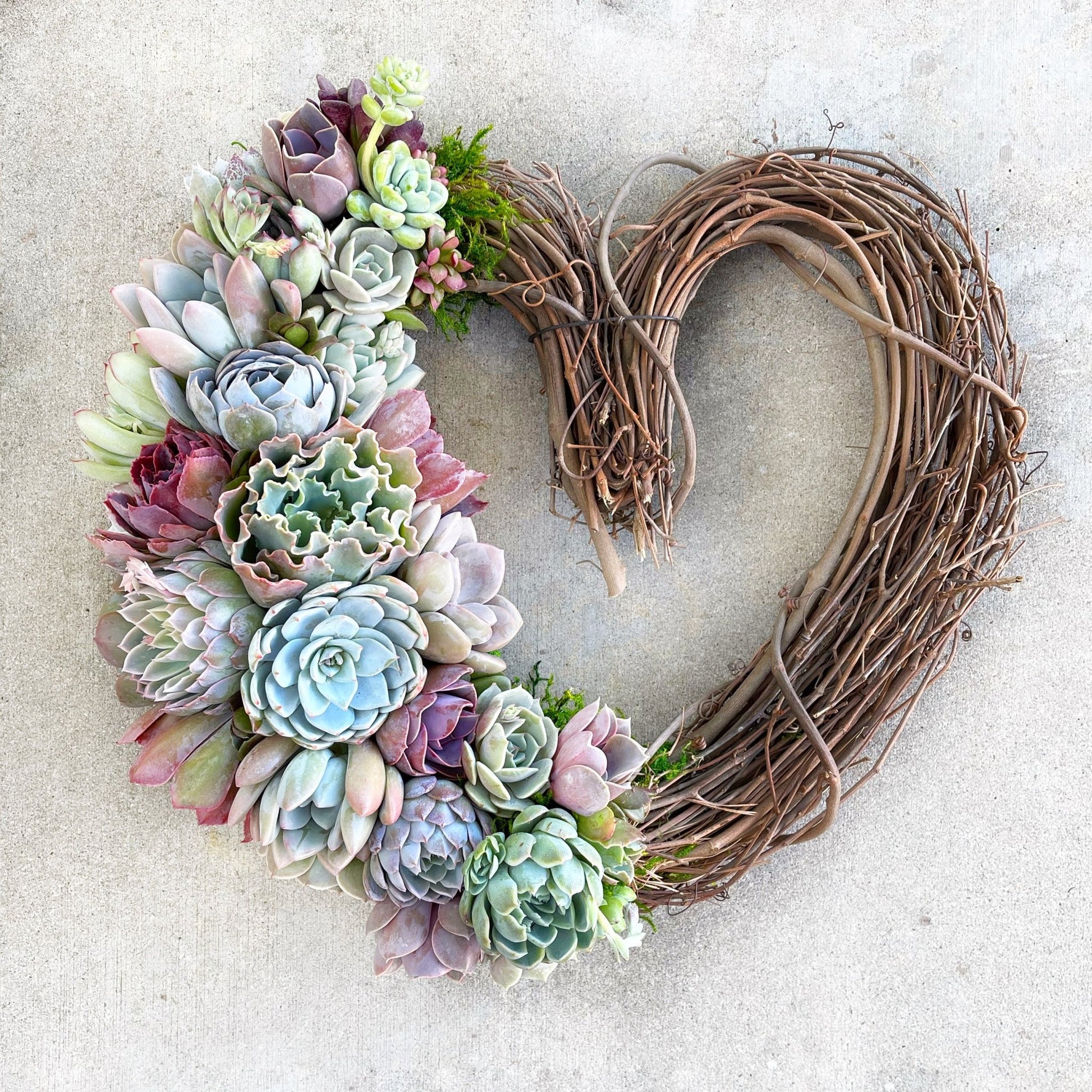 heart shape succulents Rebecca Heart-Shaped Grapevine Wreath Trimmed With Succulents
