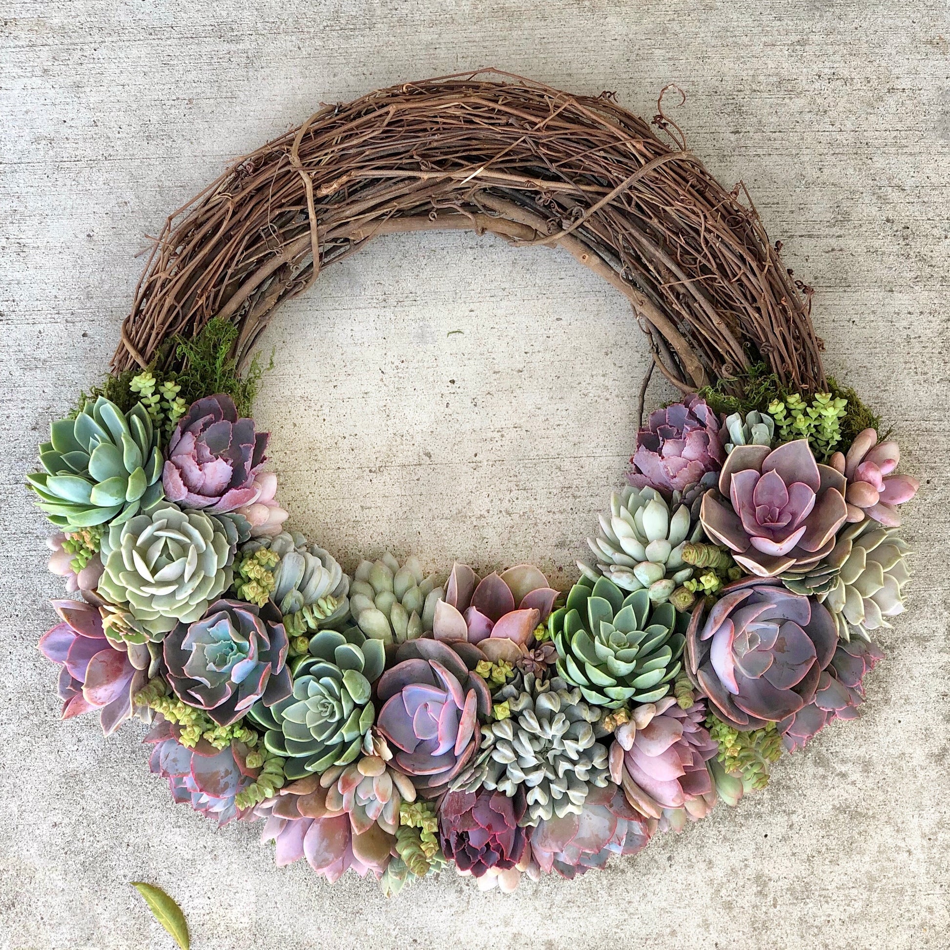 Emilee Grapevine Wreath Trimmed With Succulents.