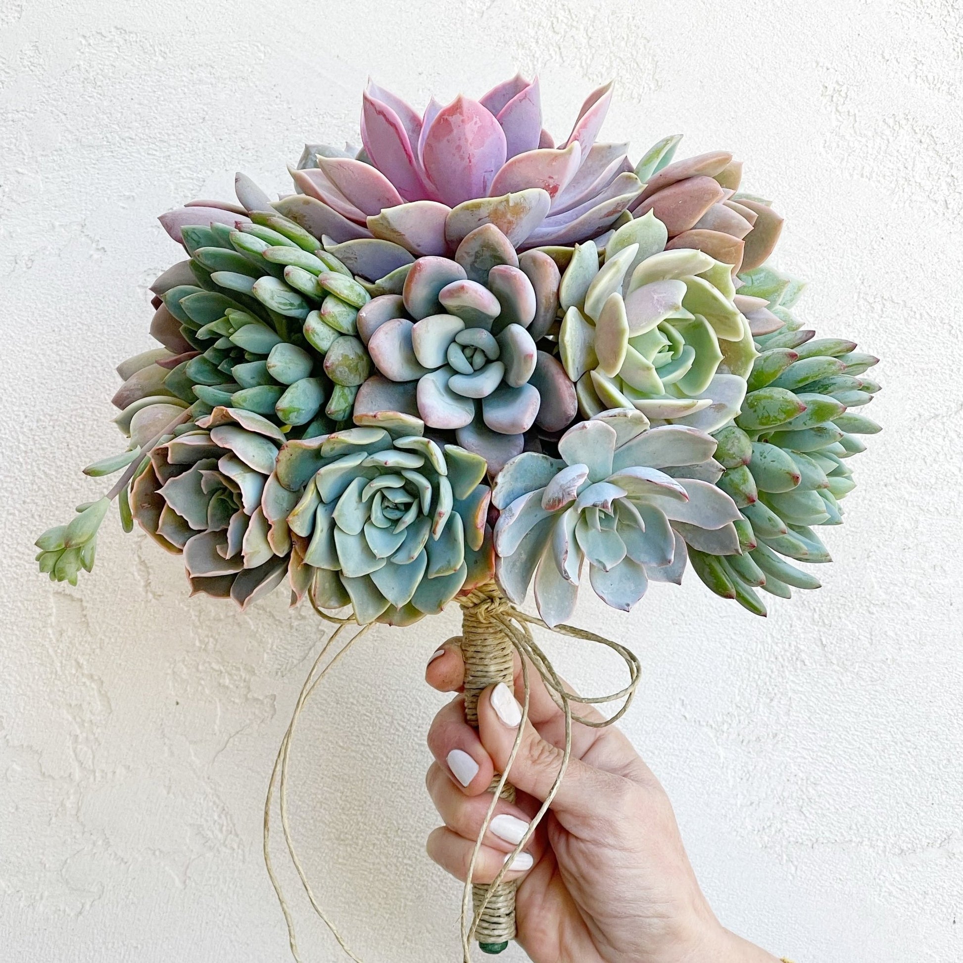 succulent plant bouquet Succulent Bridal Bouquets