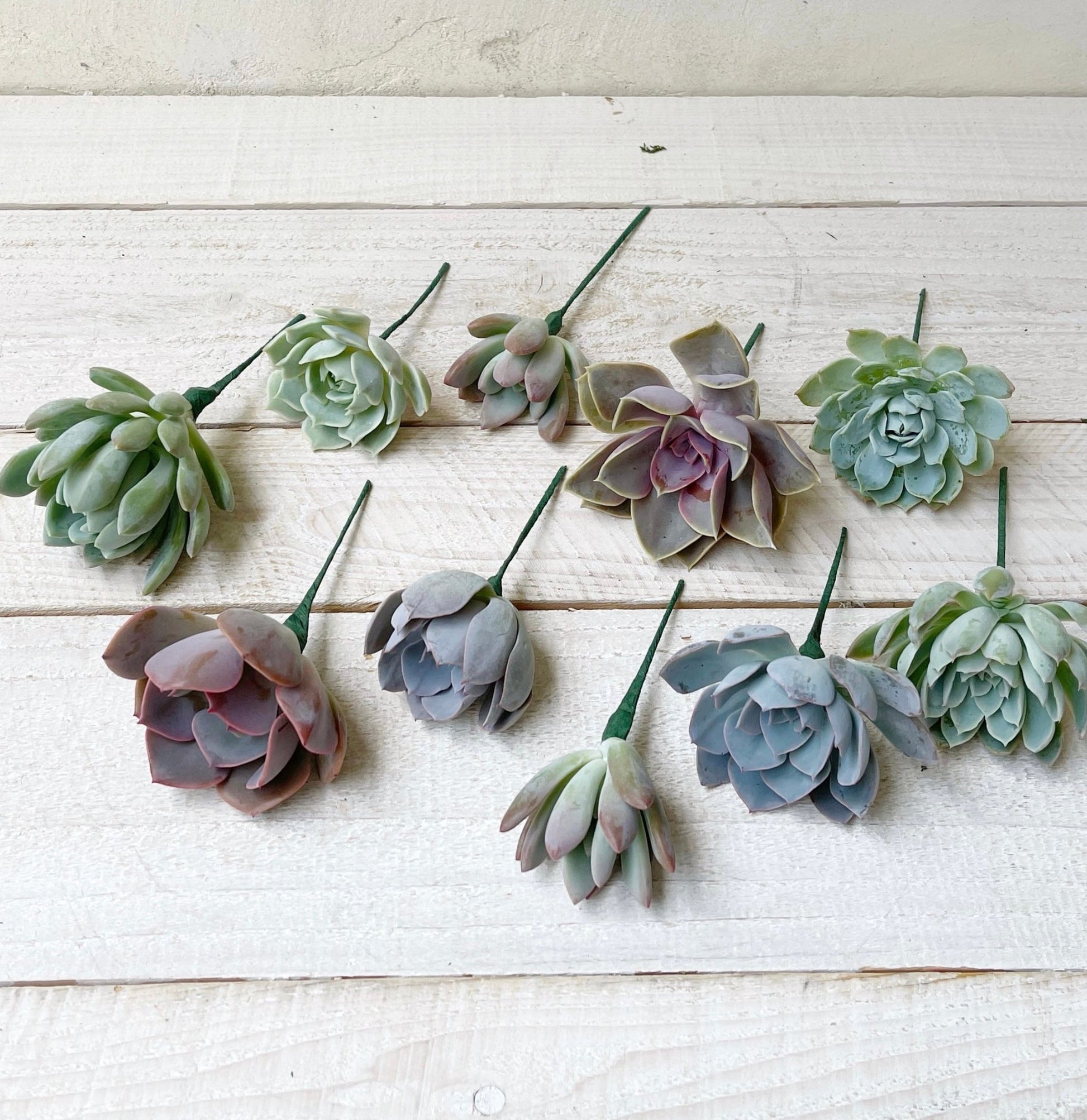 succulent toppers Succulent Cake Topper