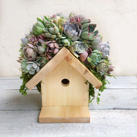Birdhouse Arrangement - Succulent Artworks