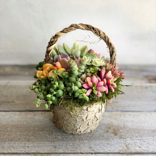 Meadow Basket of Succulents.