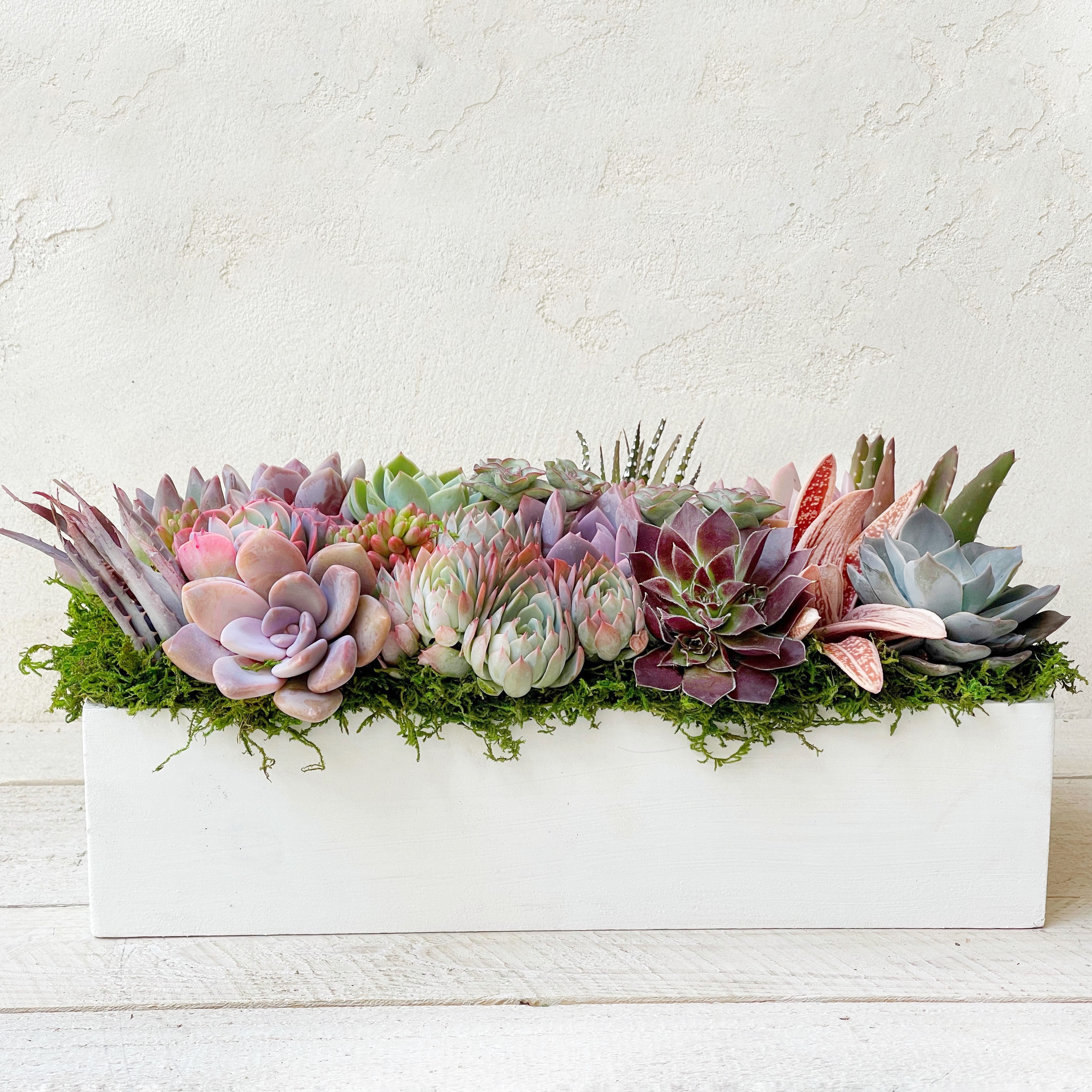 Succulent Arrangement Gift, Succulents in Whitewashed Wood Planter Box, Table Decor, Corporate Gift, Tabletop selling Decor, Client Gift