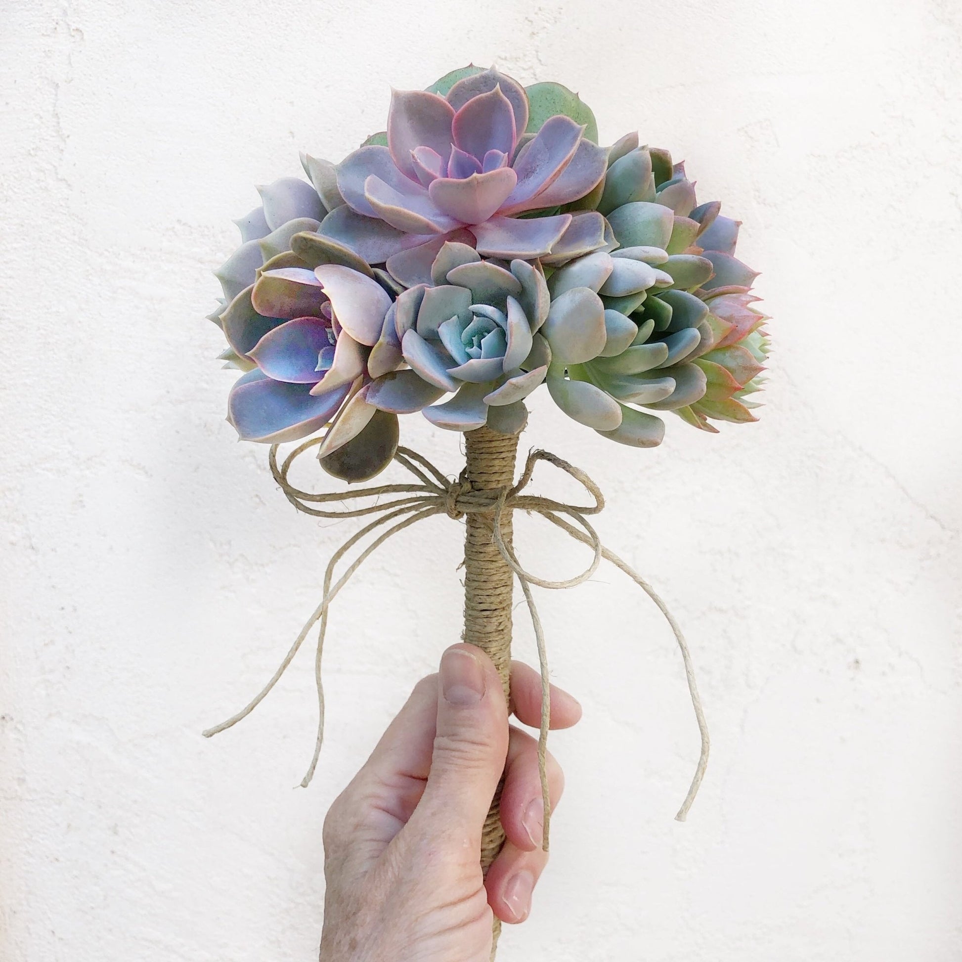 succulent bouquet near me Succulent Bridal Bouquets