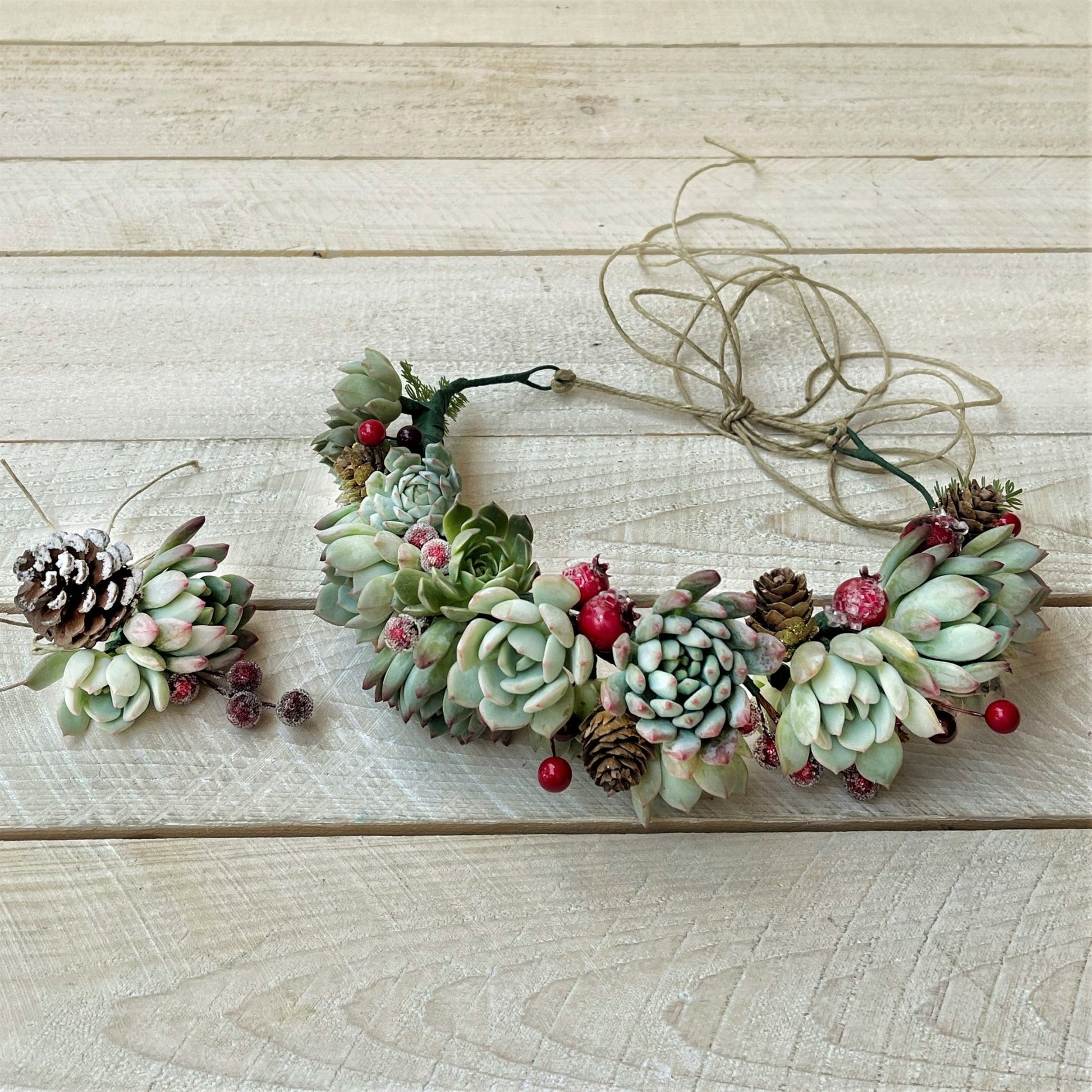 succulent crown Succulent Crown