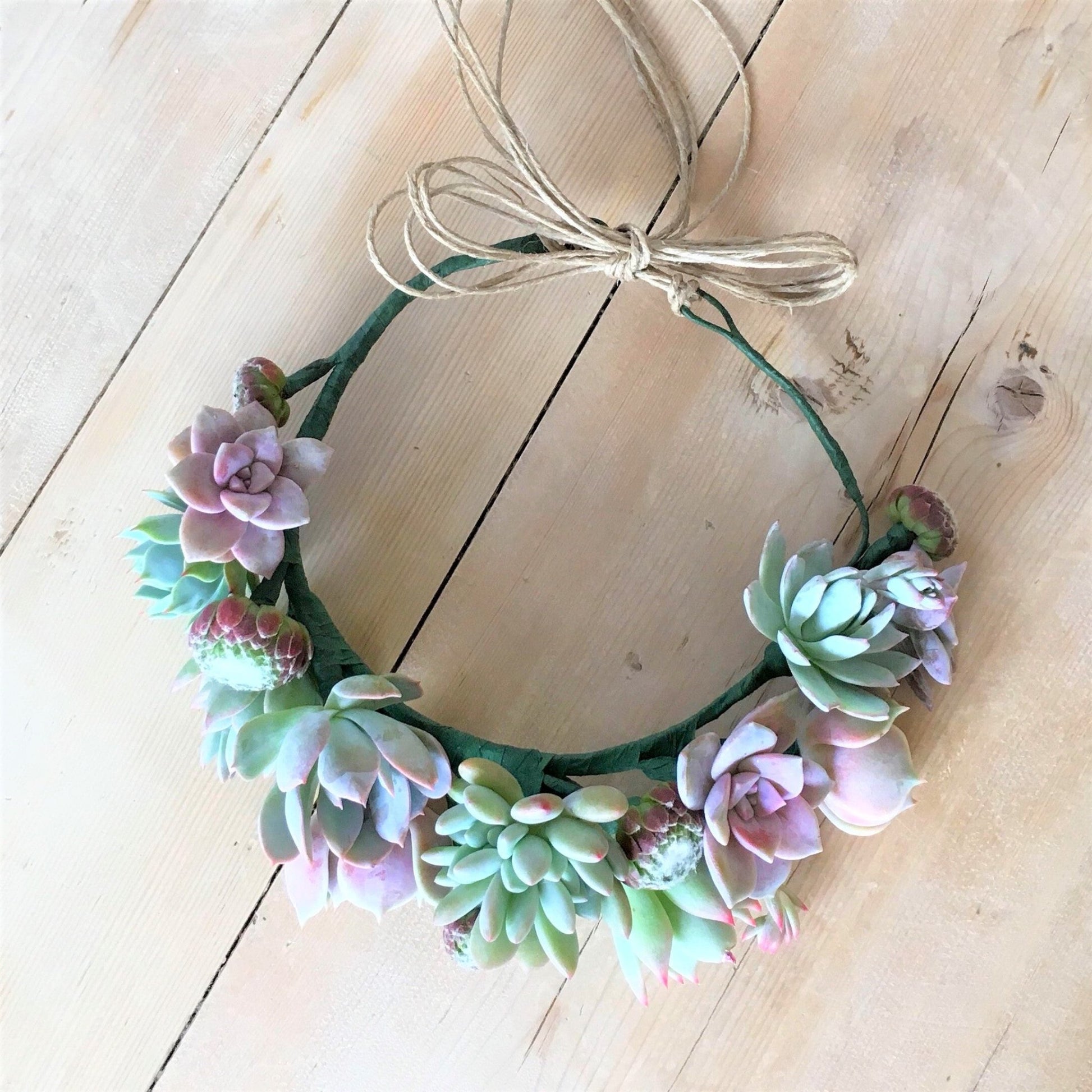 succulent crown Succulent Crown
