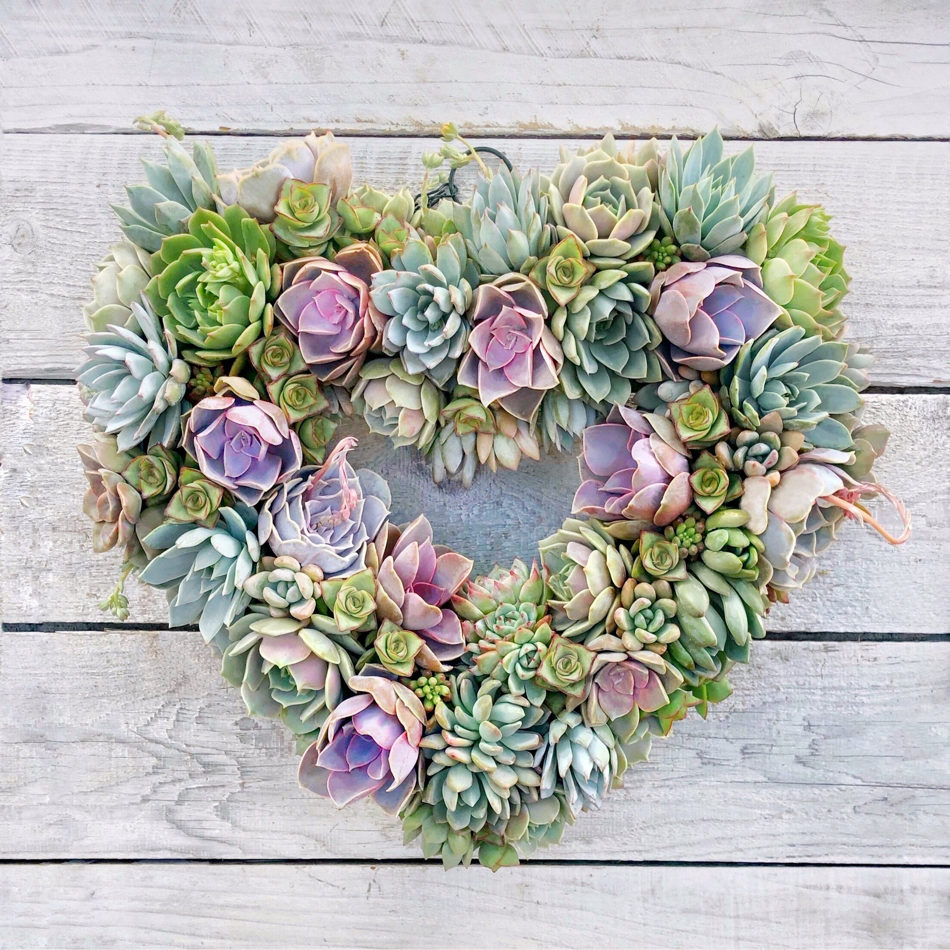 Angelique Heart-Shaped Succulent Wreath