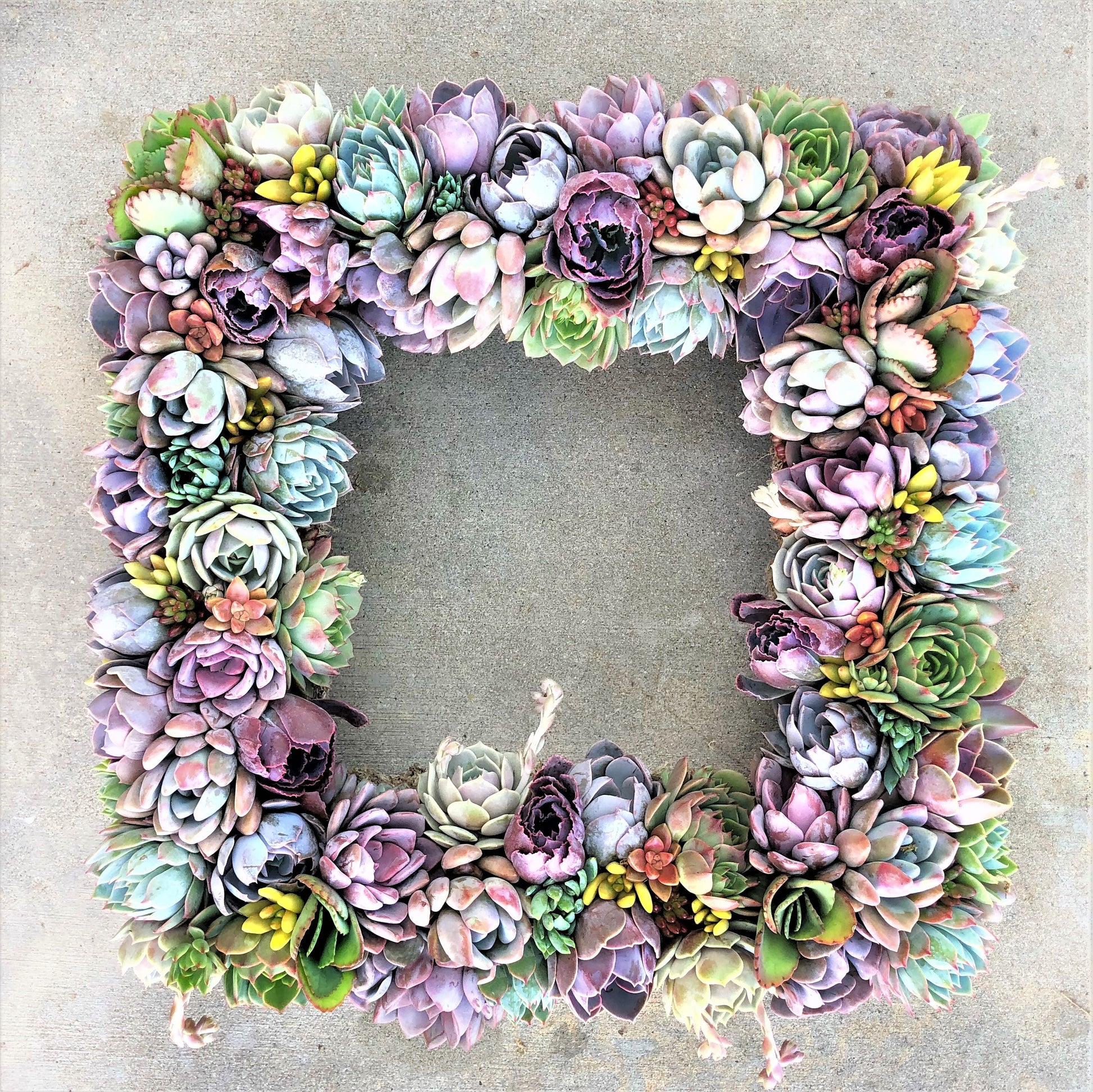 Helen Succulent Square Wreath.