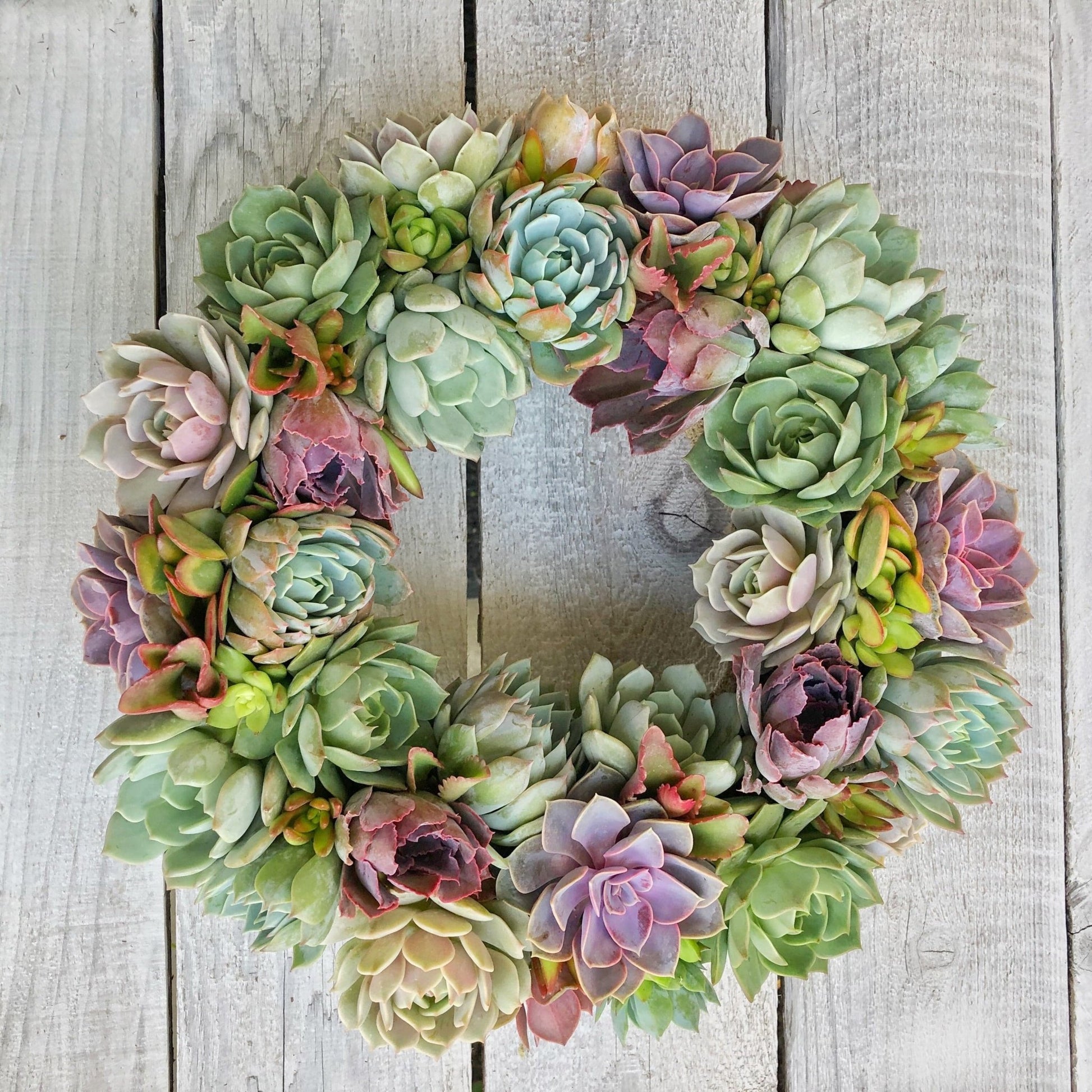 spring succulent wreath Succulent Arrangement