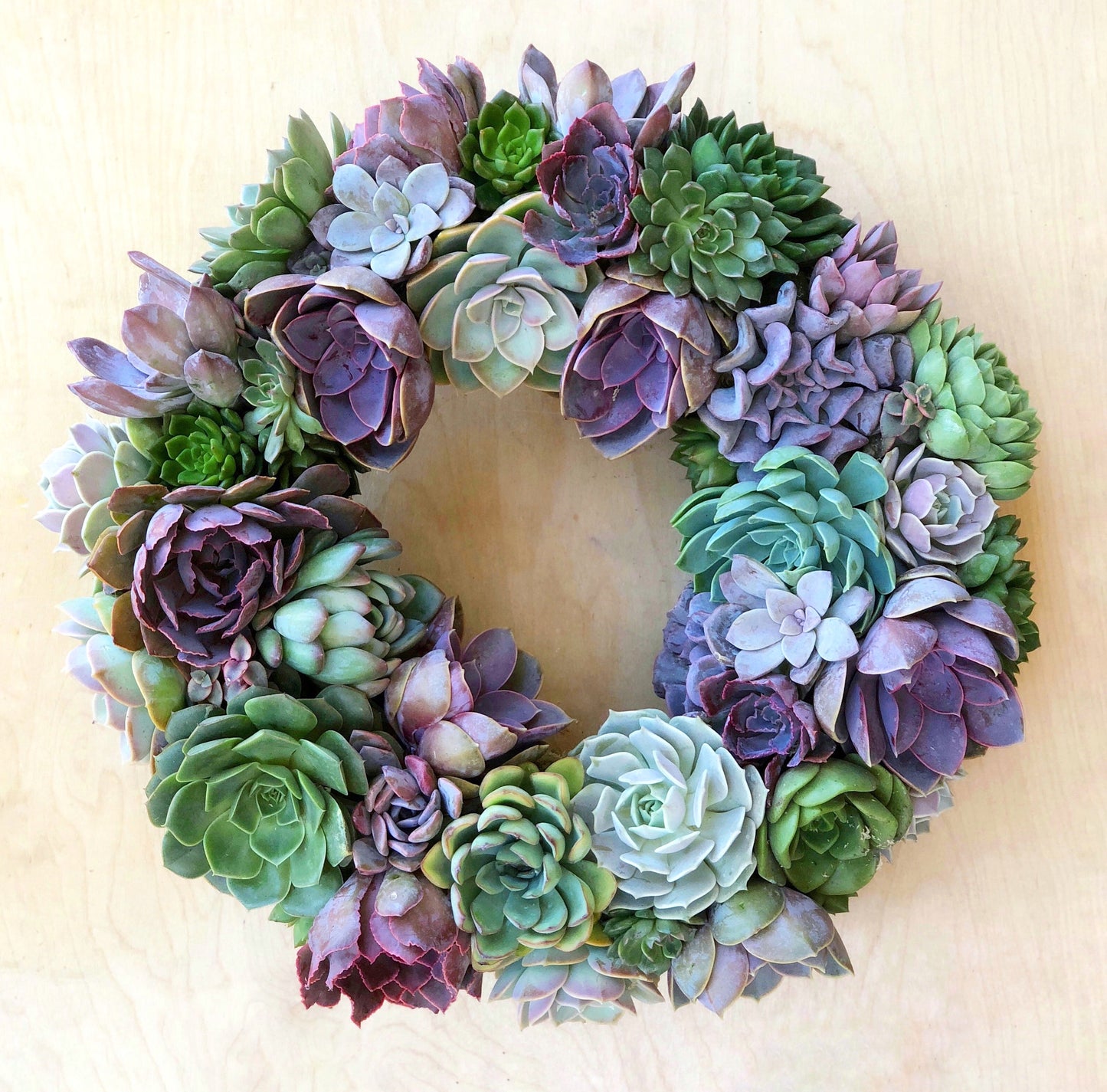 Gigi Succulent Wreath.