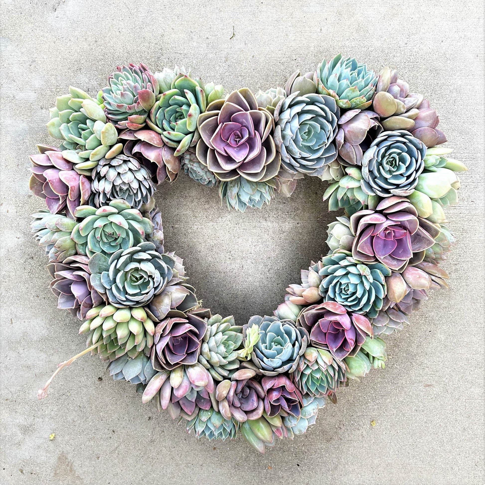 Rebecca Heart-Shaped Grapevine Wreath Trimmed With Succulents