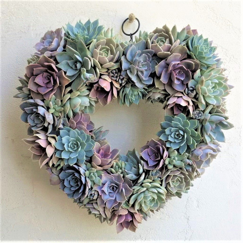 succulent heart wreath Succulent Arrangement