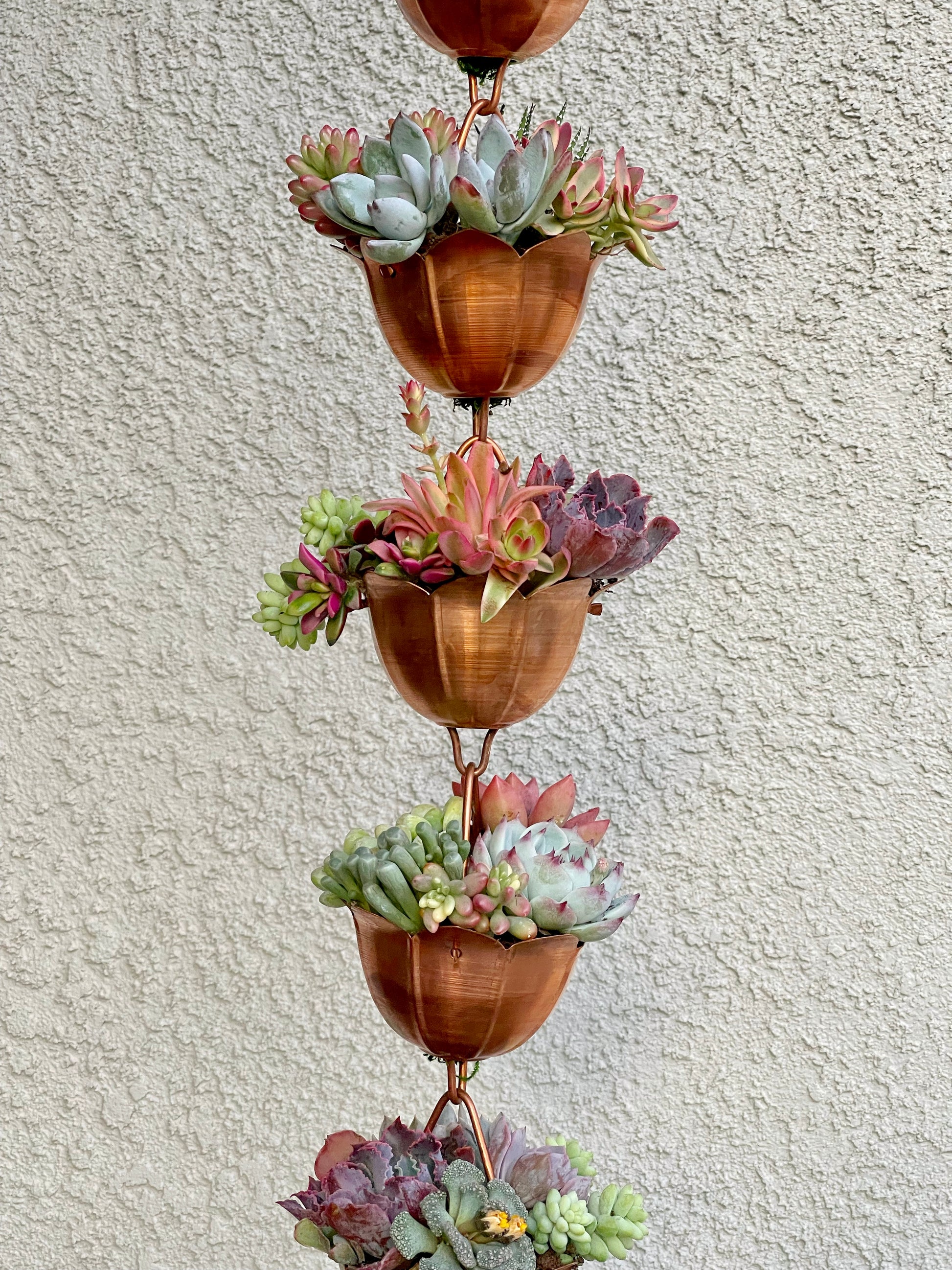 Copper Rain Chain Planted With Succulents.