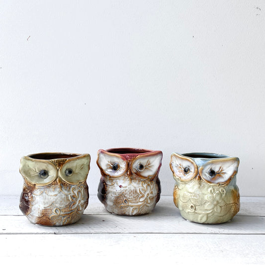 Unplanted Woodland Owl Trio