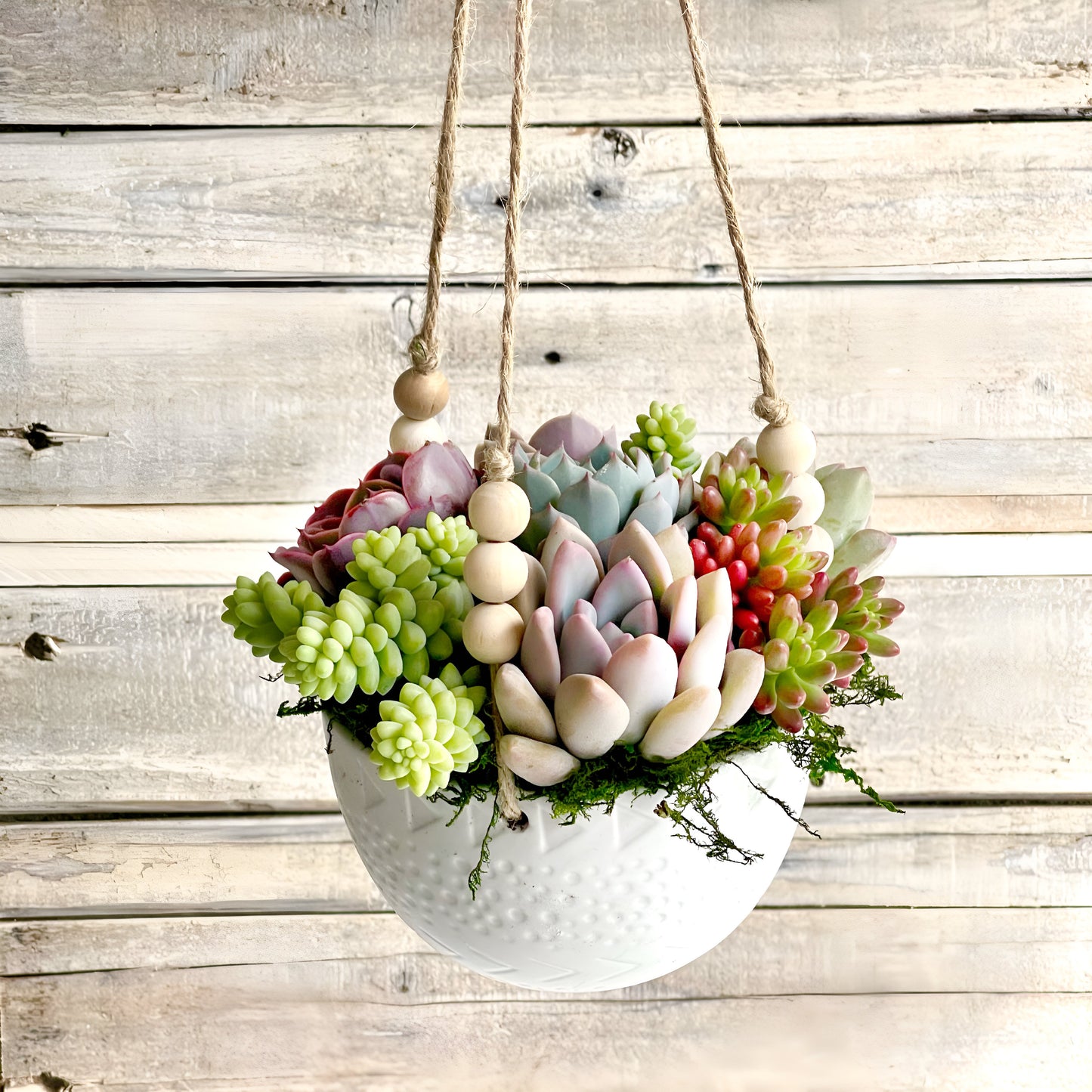 Lauren Hanging Planter Filled With Succulents