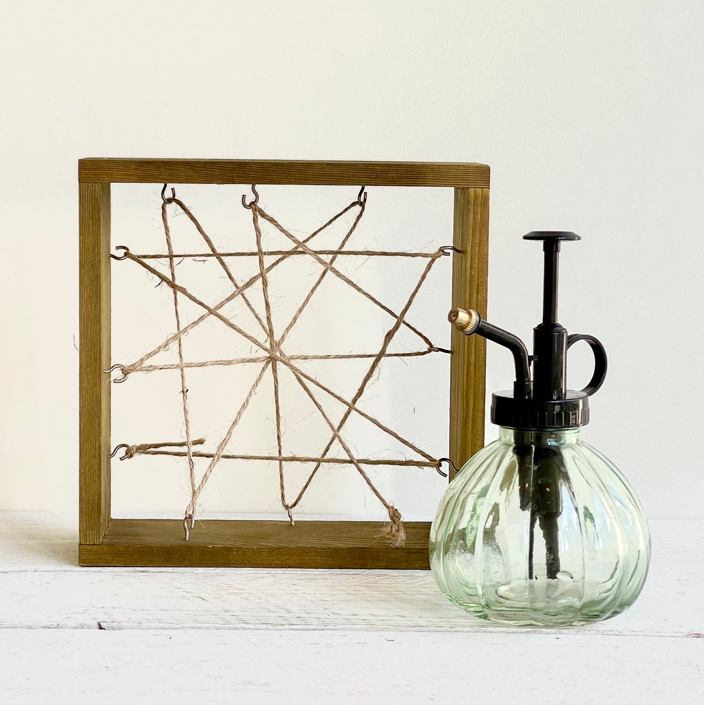 air plant display frame Unplanted Air Plant Display Frame & Mister