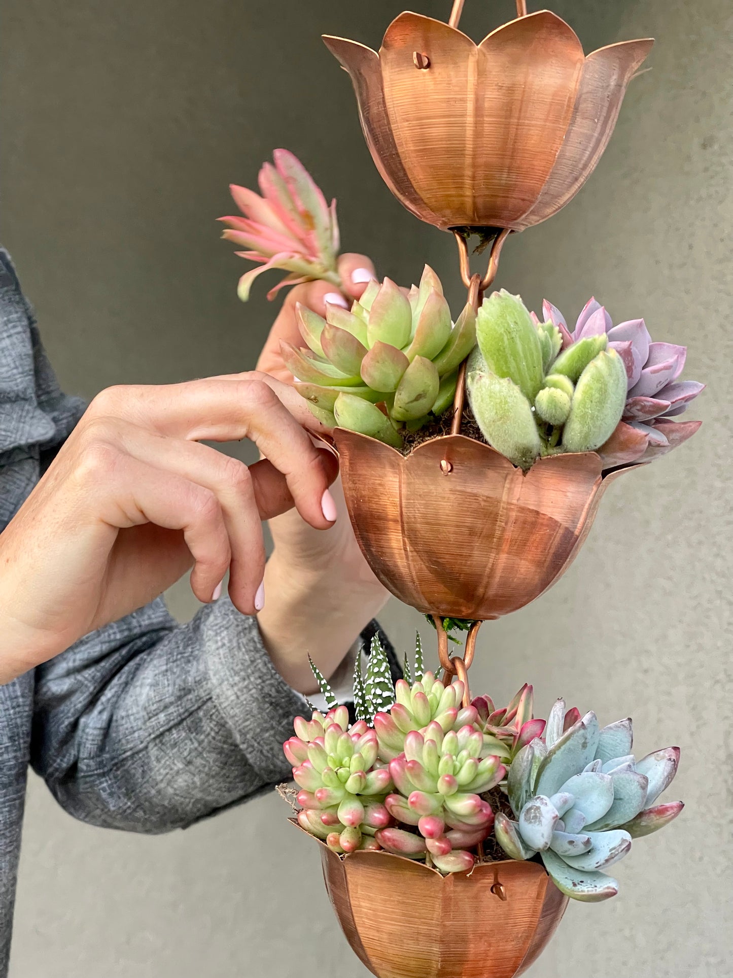 Copper Rain Chain Planted With Succulents.